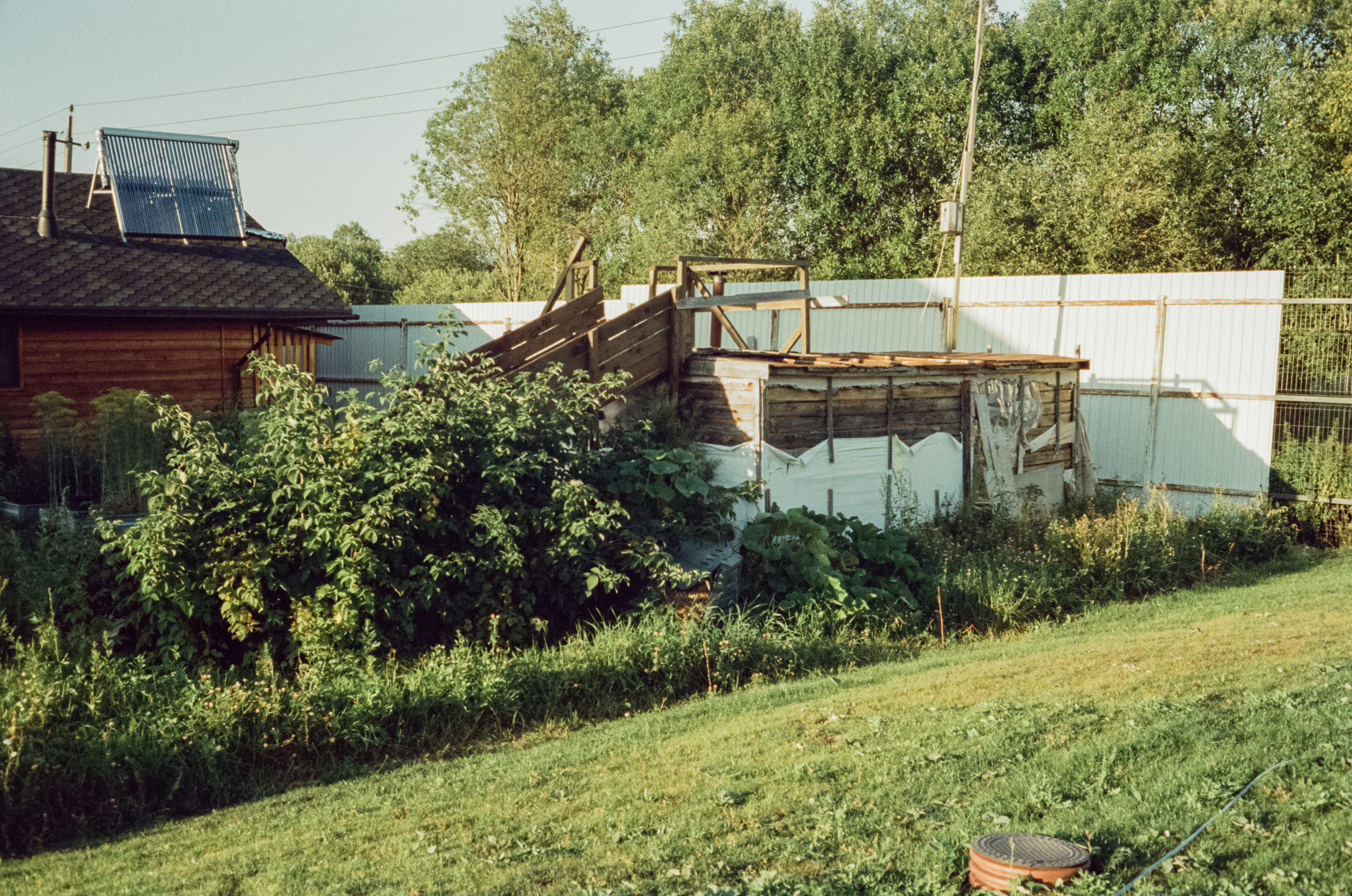 Canon Canonet QL17 G-III QL / Kodak Vision 3 250D