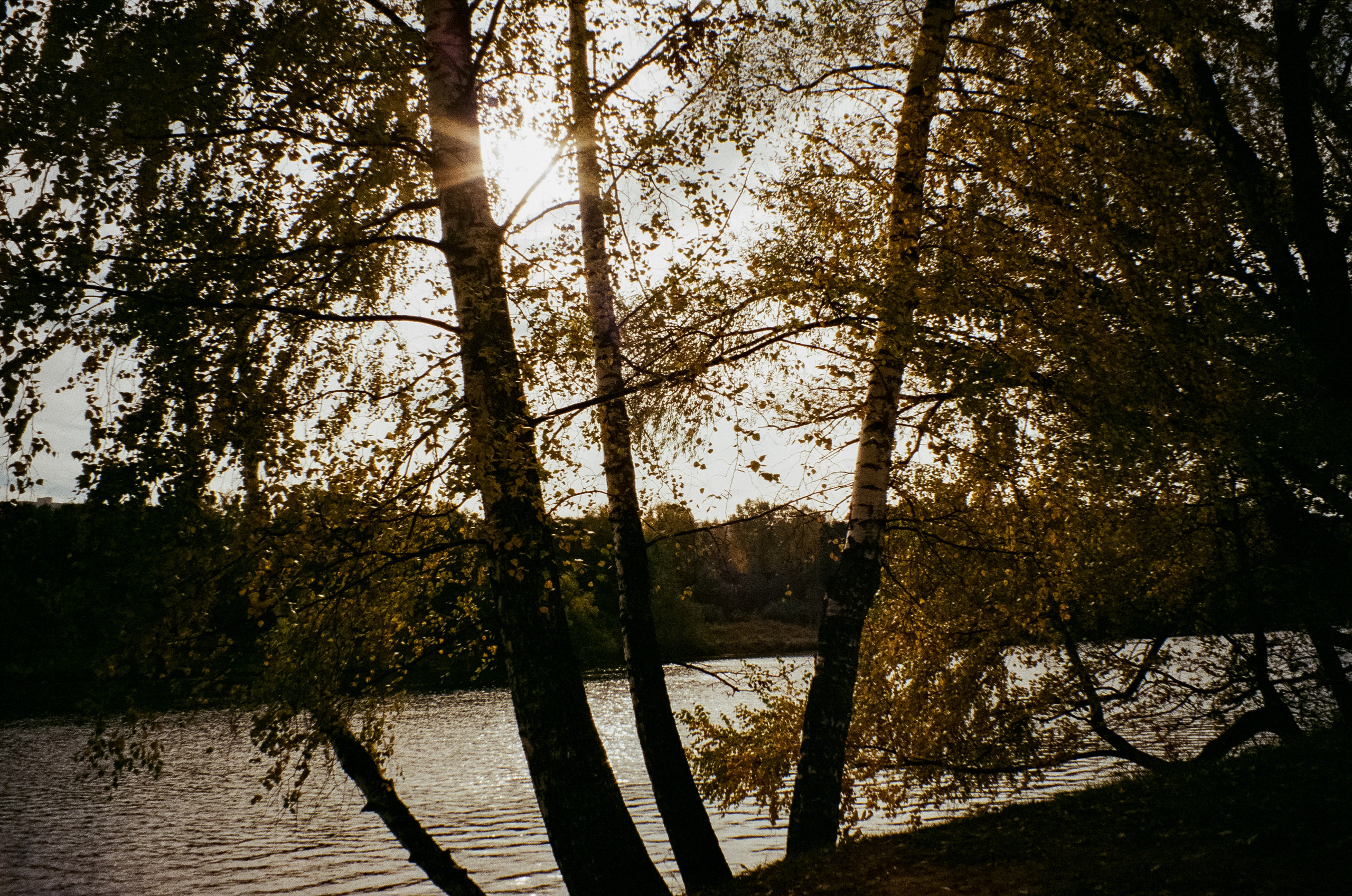 Осень на Kodak Gold 200