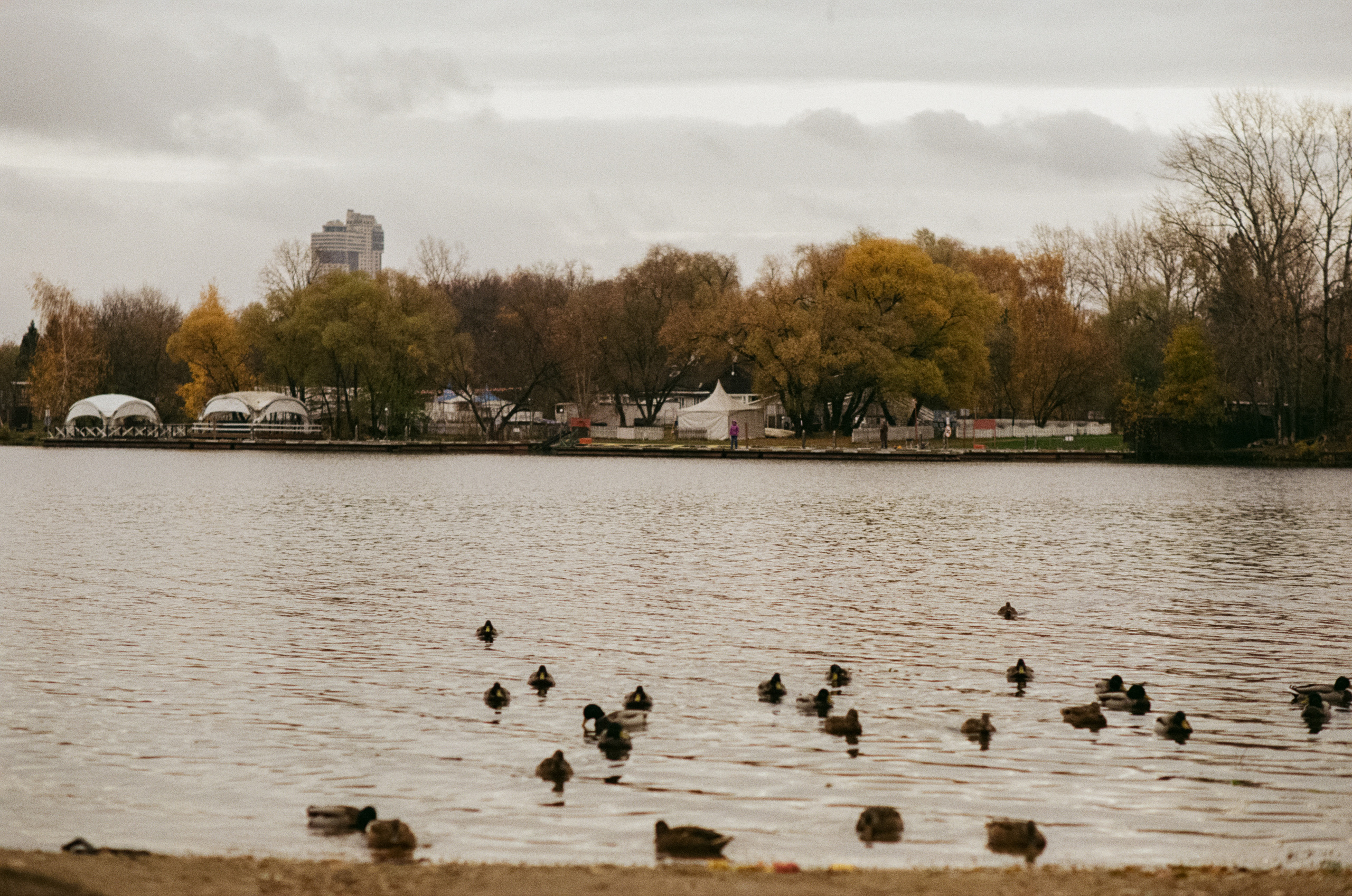 Московская осень на Kodak Gold 200
