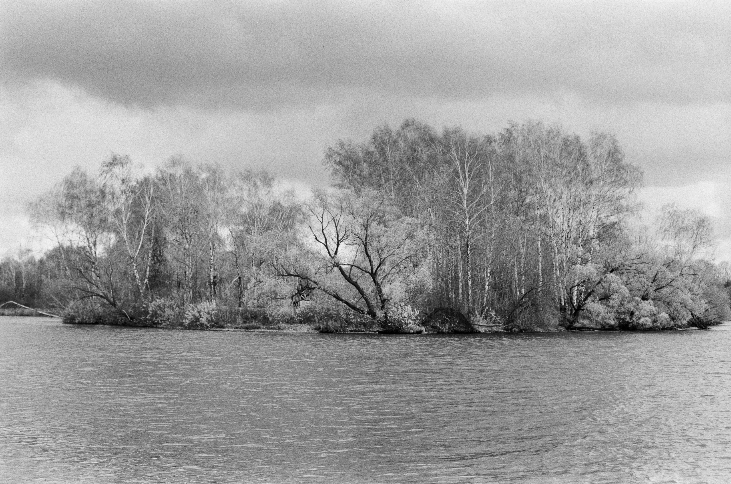 Cosina 55 mm f1.2 — Ricoh XR-10M / Тасма Тип-42 ISO 100