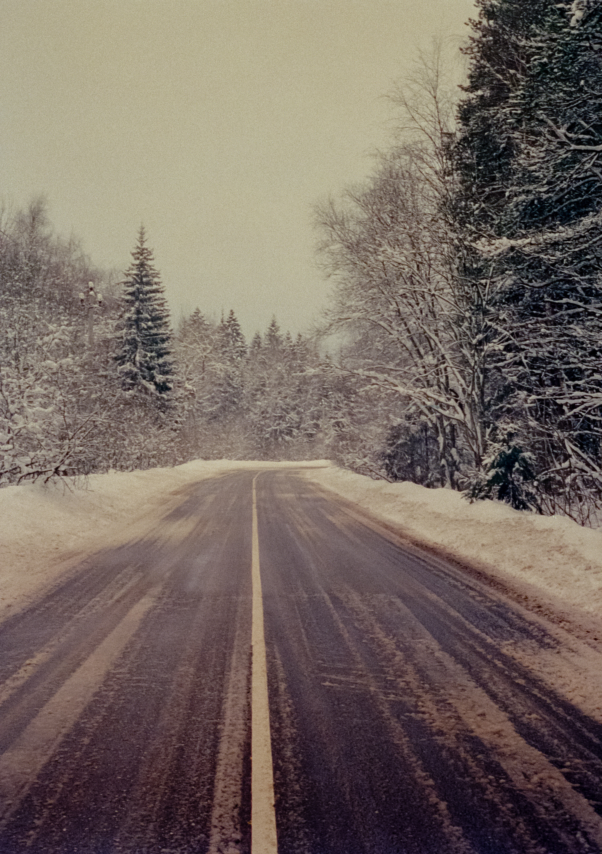 Olympus Pen EED / Kodak Vision 3 500T