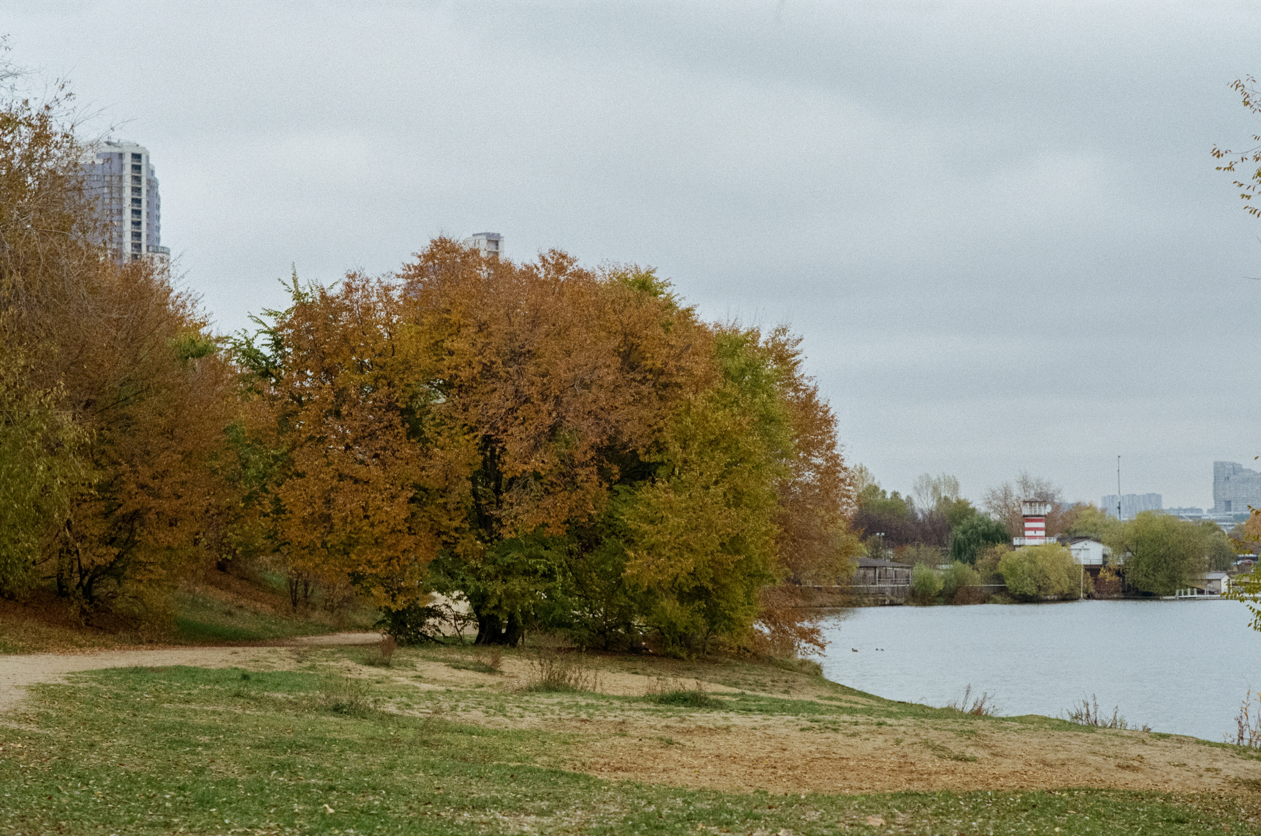 Московская осень на Kodak Gold 200