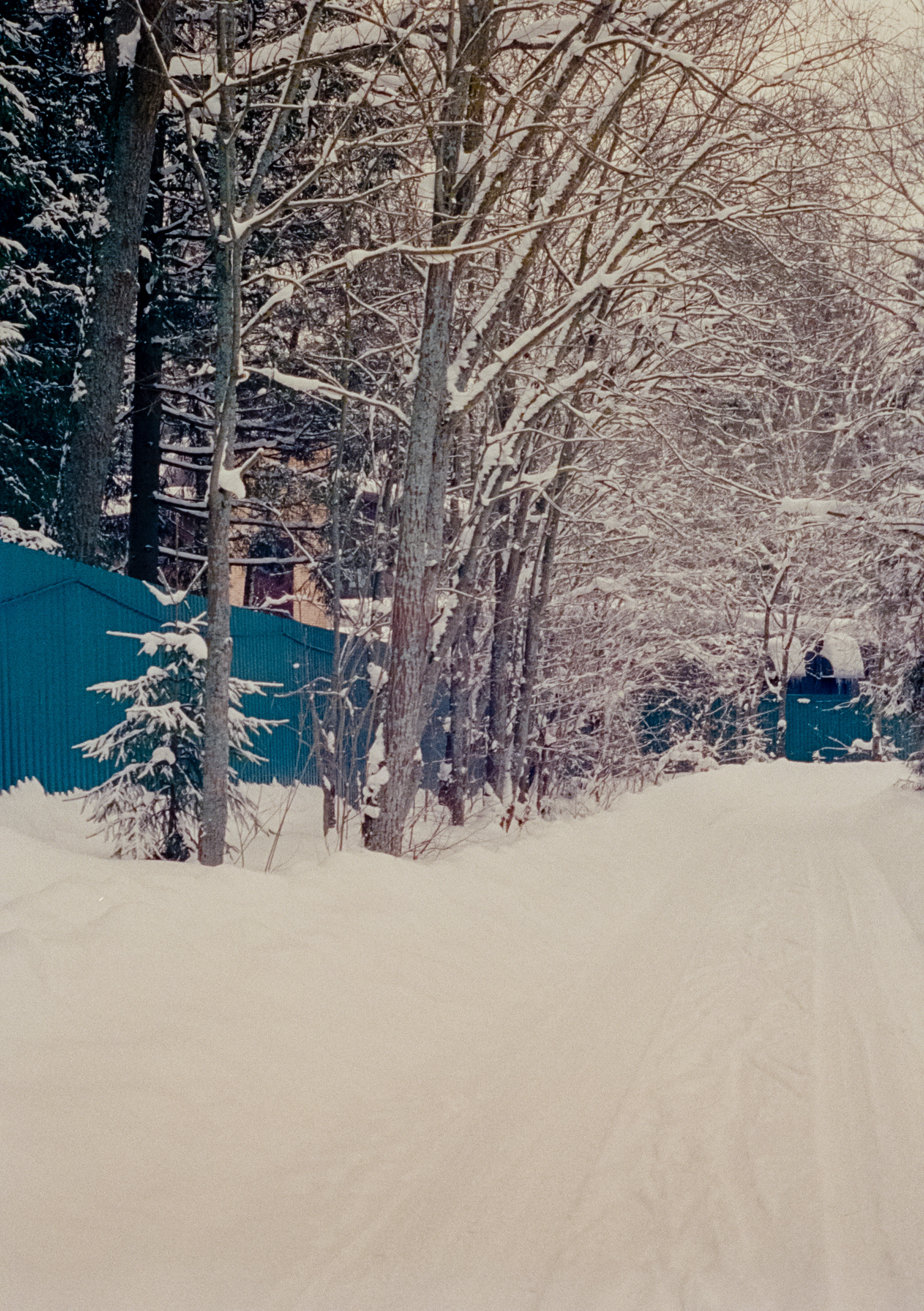 Olympus Pen EED / Kodak Vision 3 500T