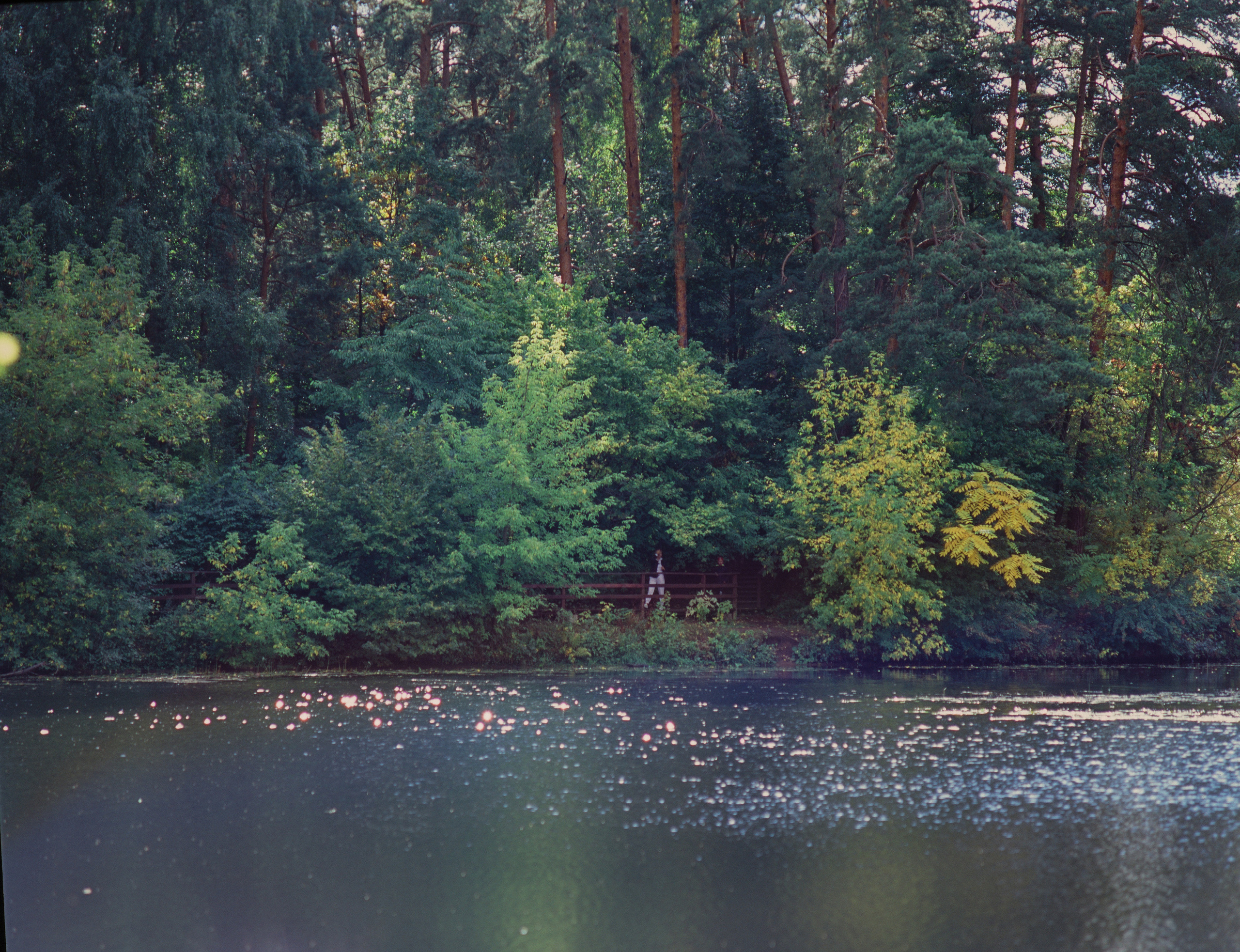 Zenza Bronica ETR — Zenzanon 150 f3.5 / Fujichrome Velvia 100