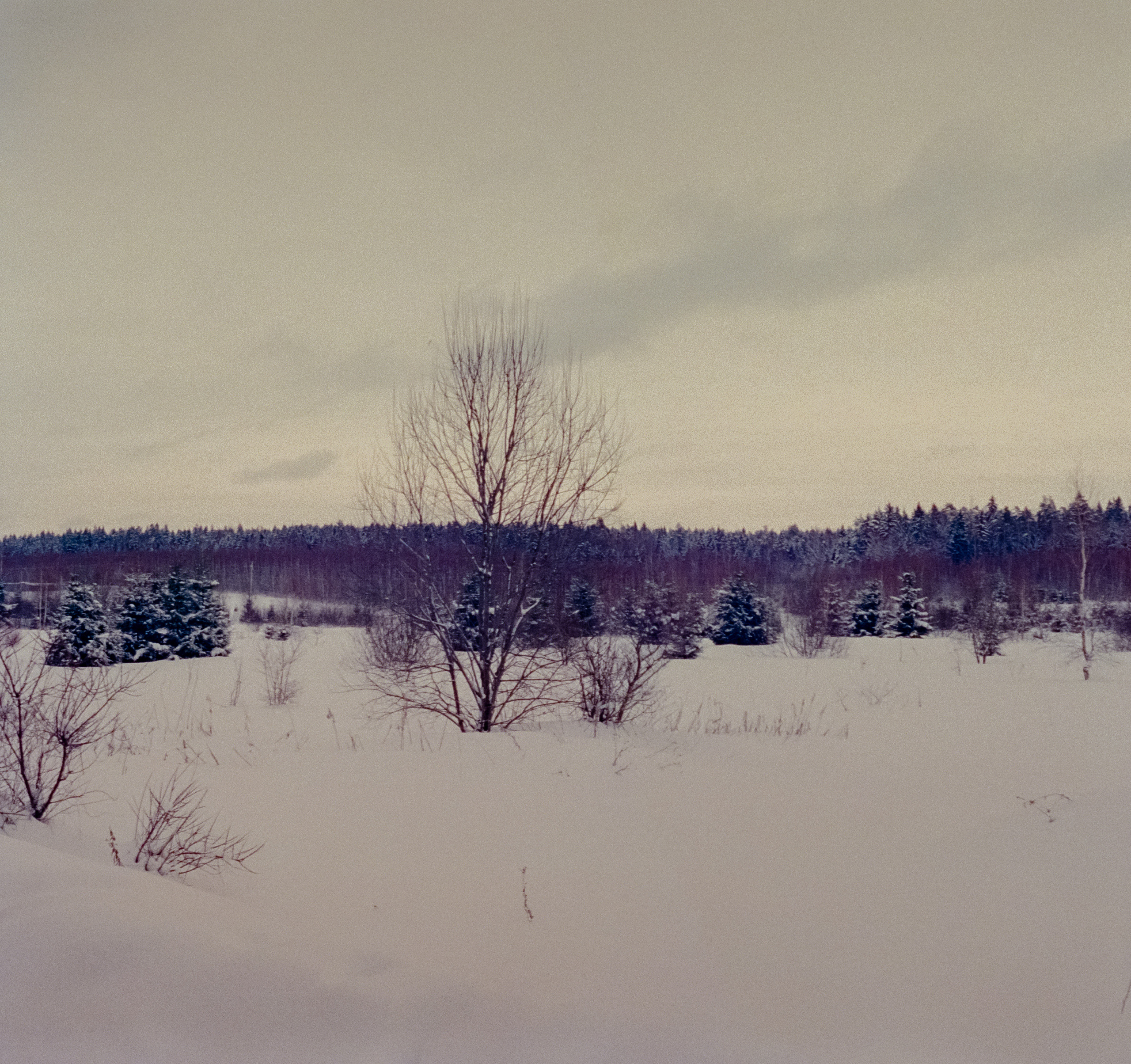 Olympus Pen EED / Kodak Vision 3 500T