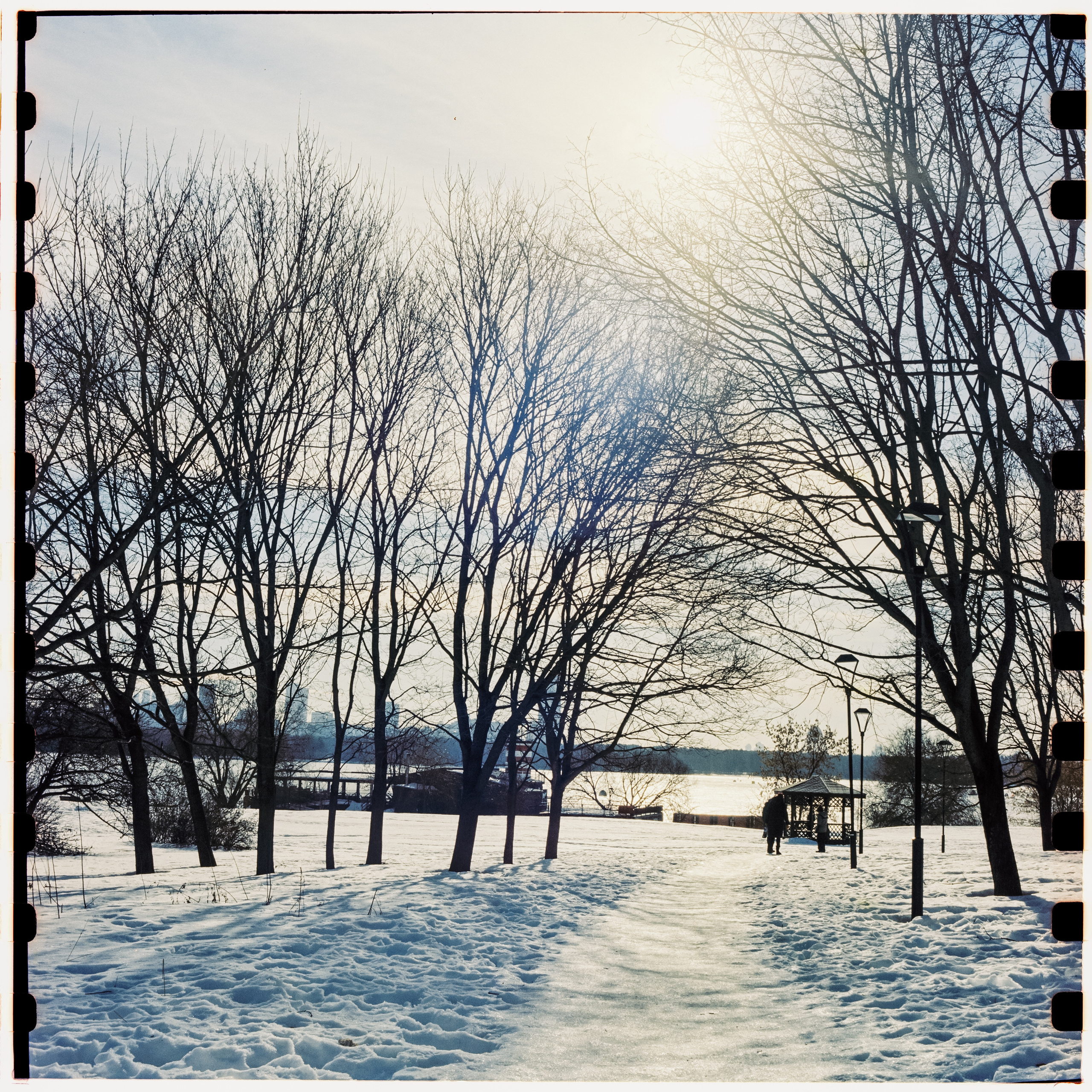 Kodak Vision 3 250D / Yashica Mat 124