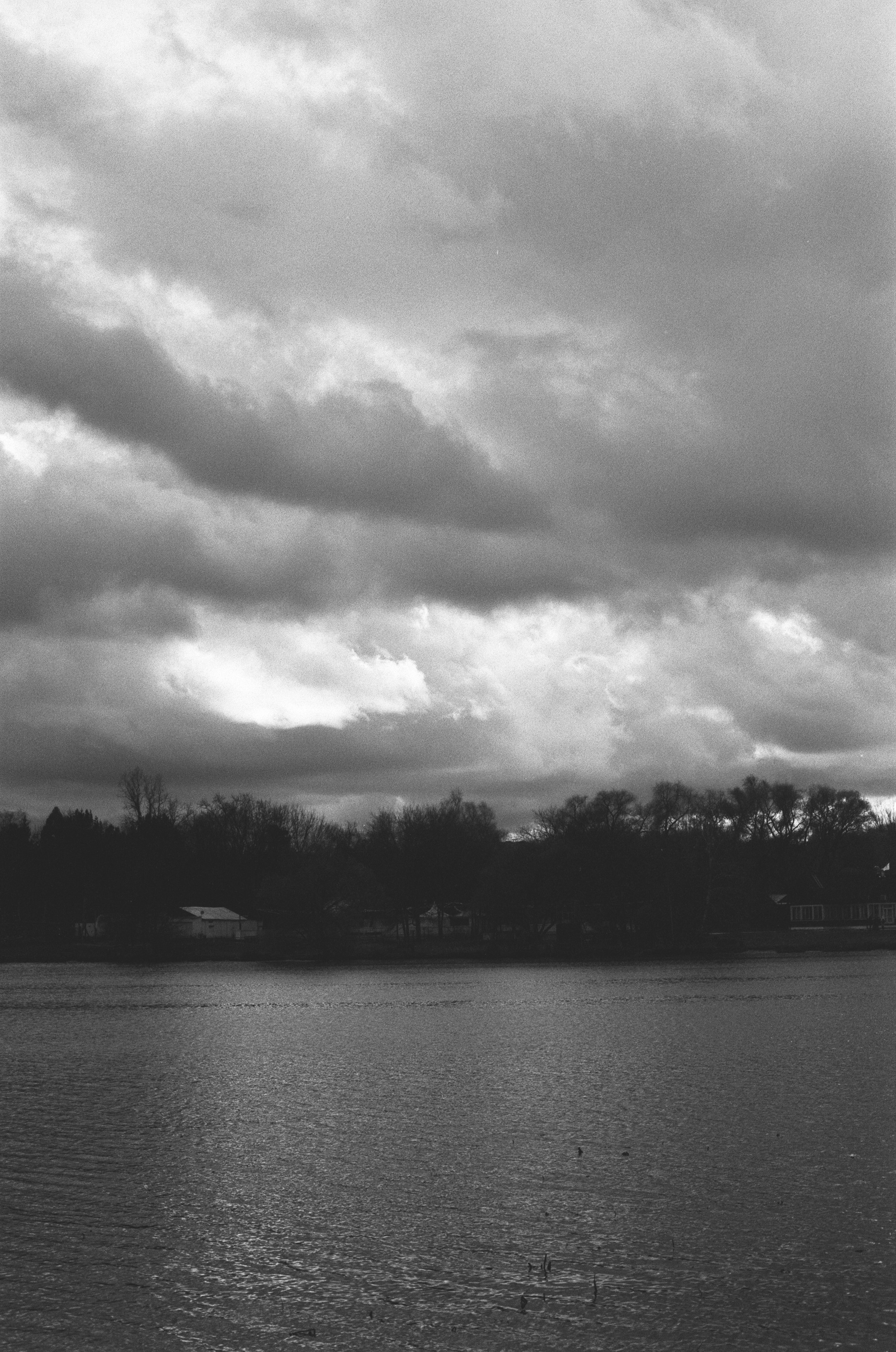 Cosina 55 mm f1.2 — Ricoh XR-10M / Тасма Тип-42 ISO 100