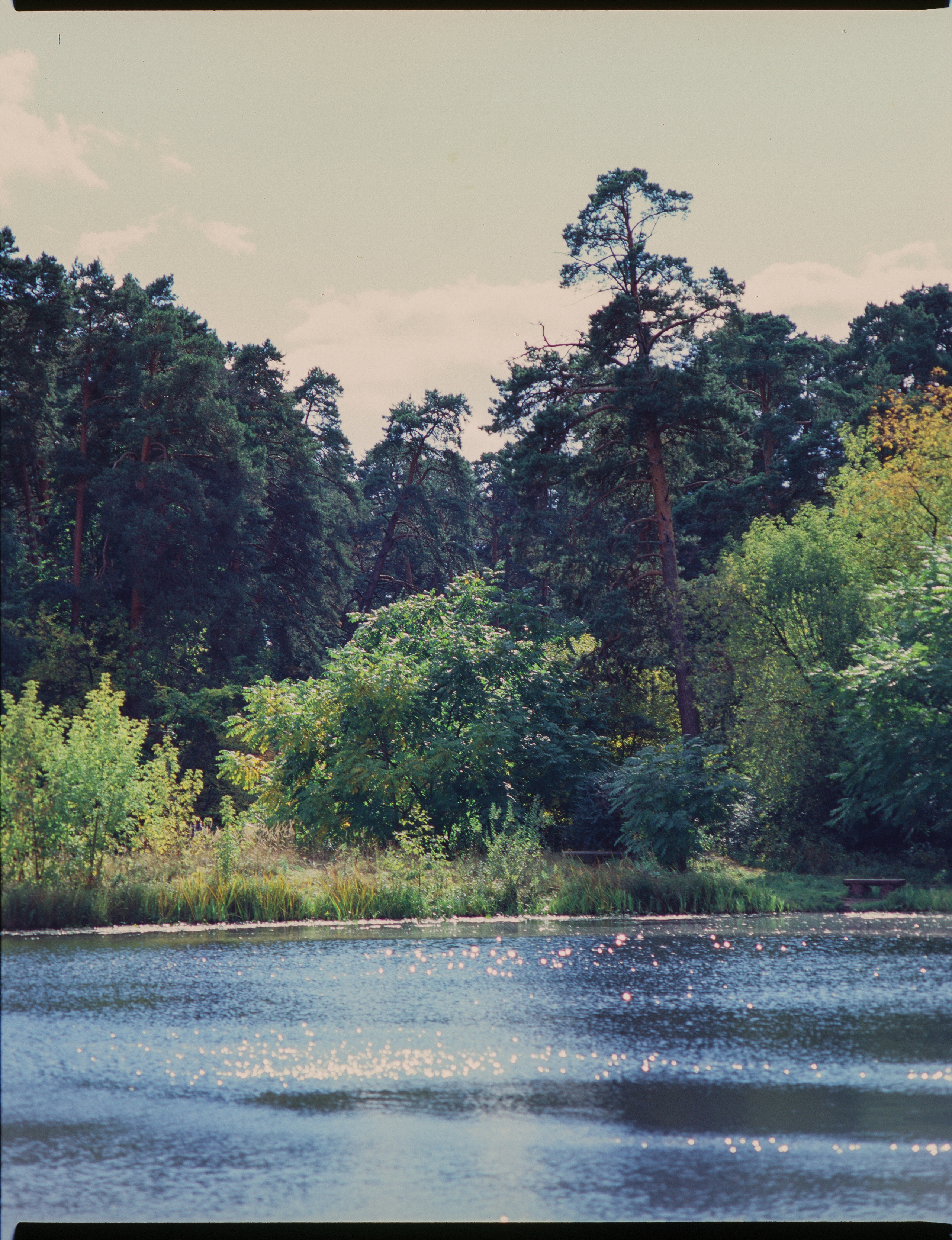 Zenza Bronica ETR — Zenzanon 150 f3.5 / Fujichrome Velvia 100
