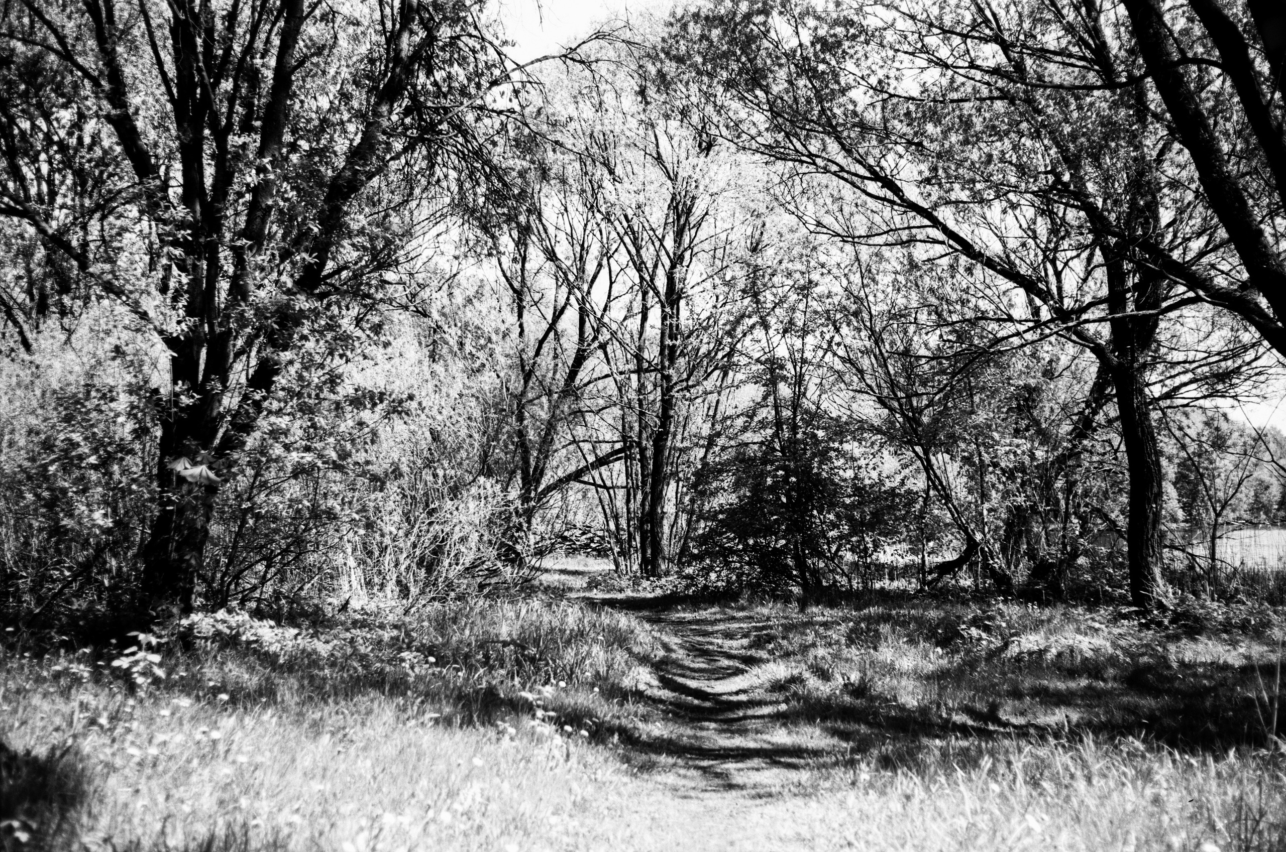 Kodak Retina Reflex S обзор