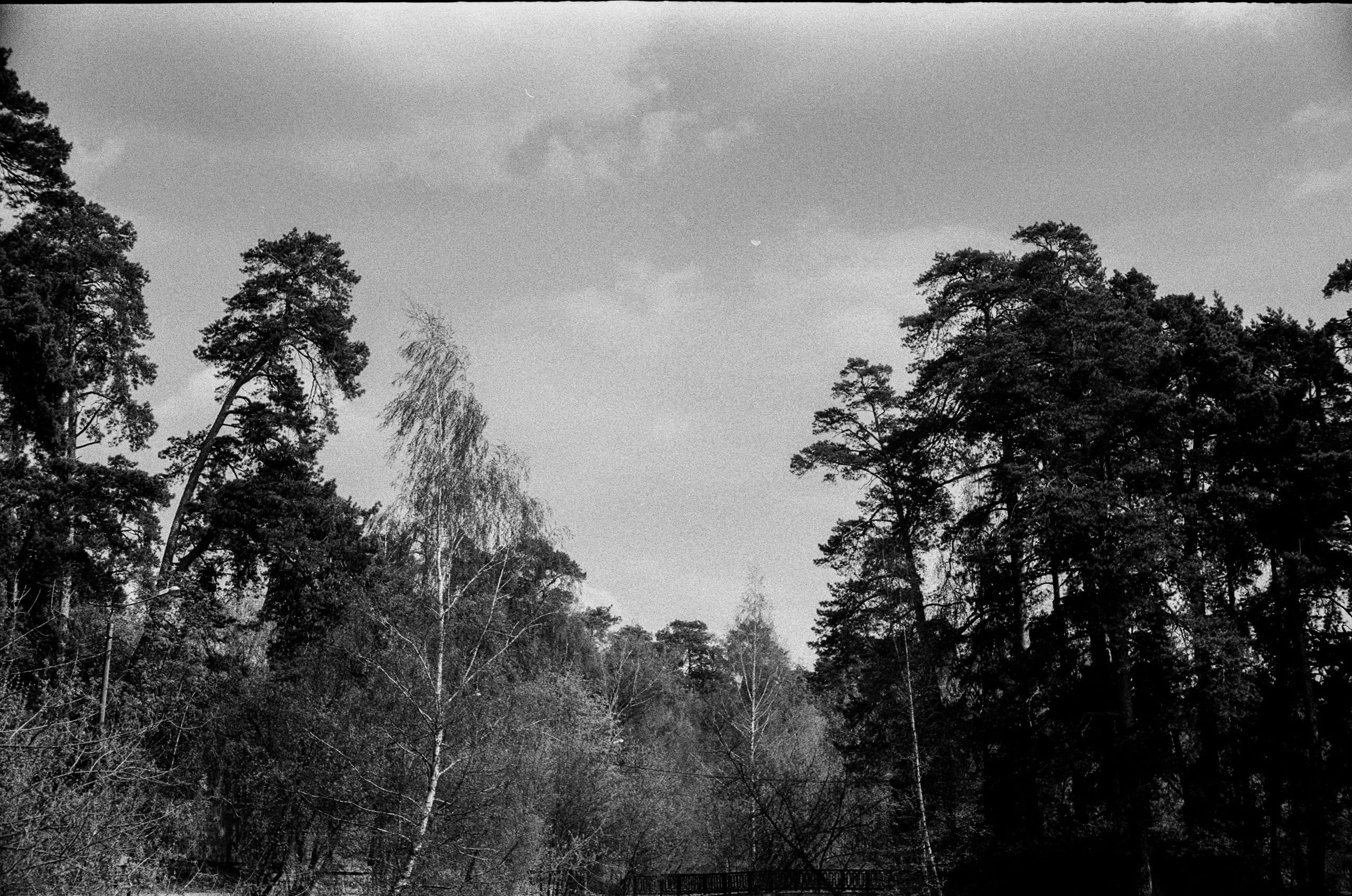 Kodak Double-X 5222