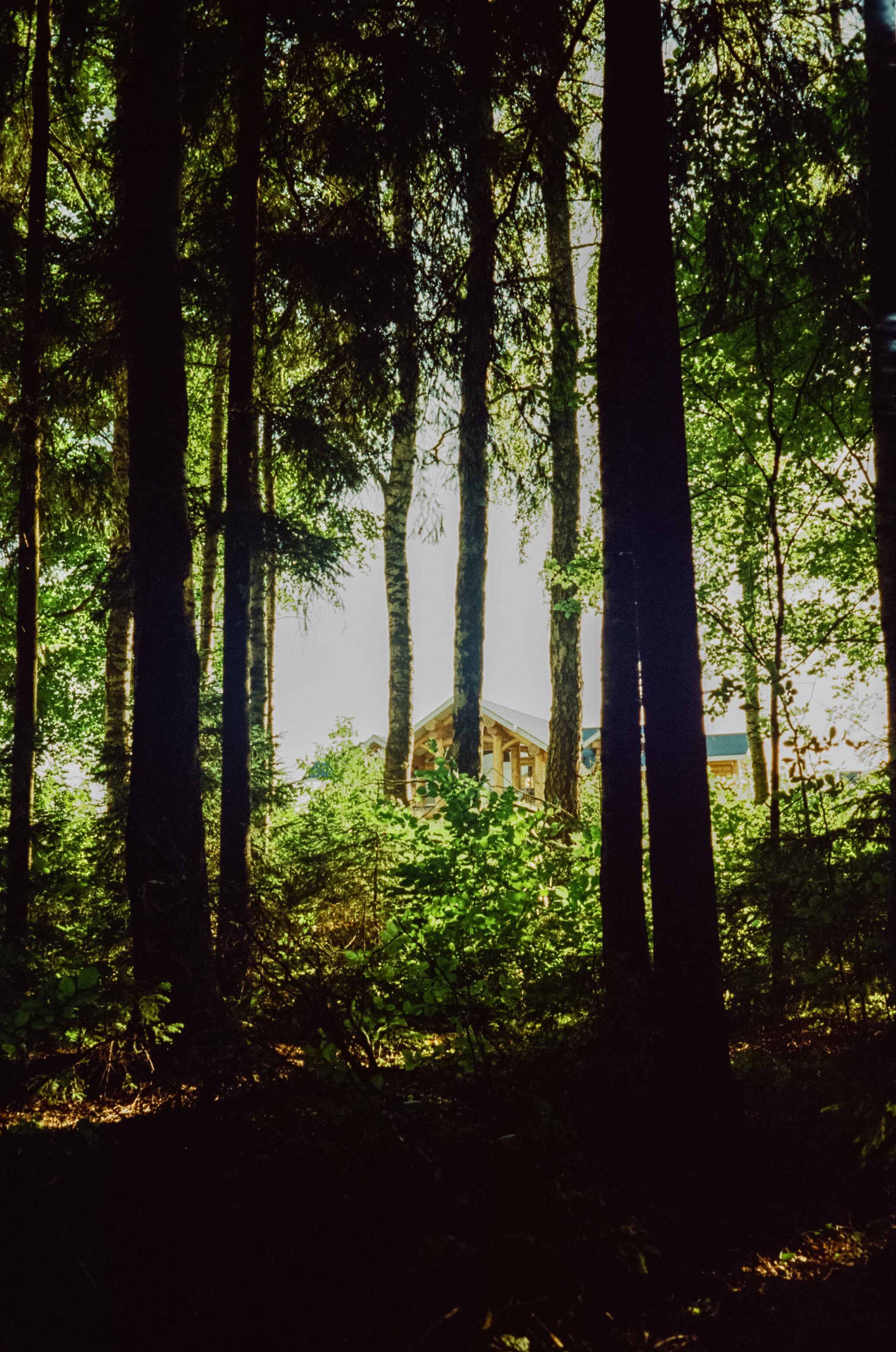 Canon Canonet QL17 G-III QL