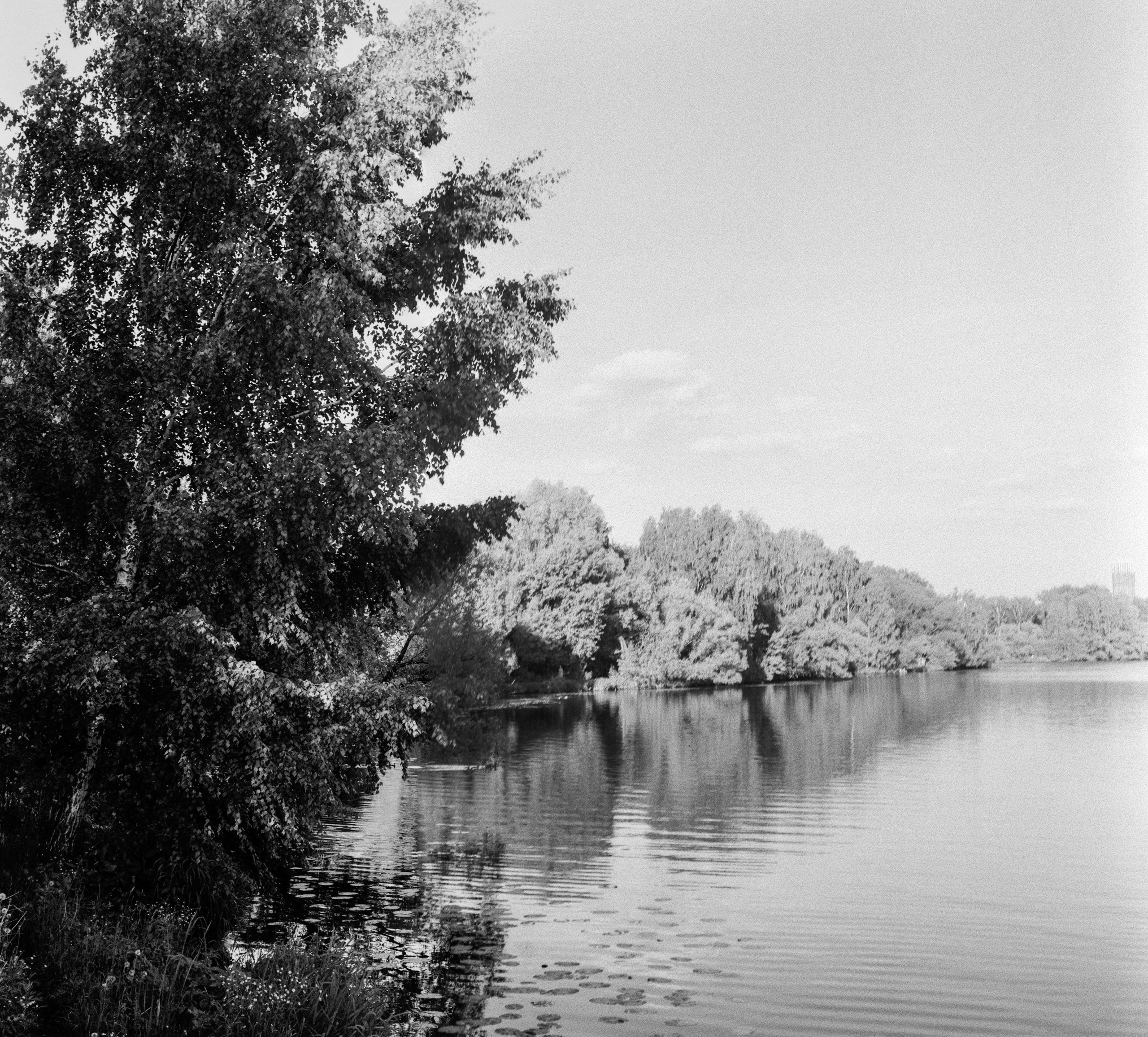 Agfa Aviphot Pan