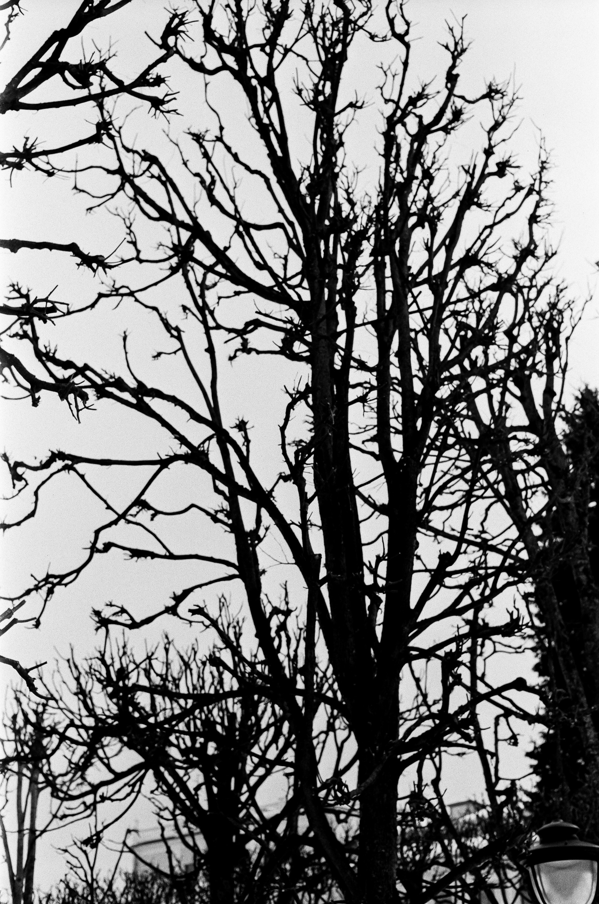 Retina Xenon C 50mm f2.0 примеры фотографий