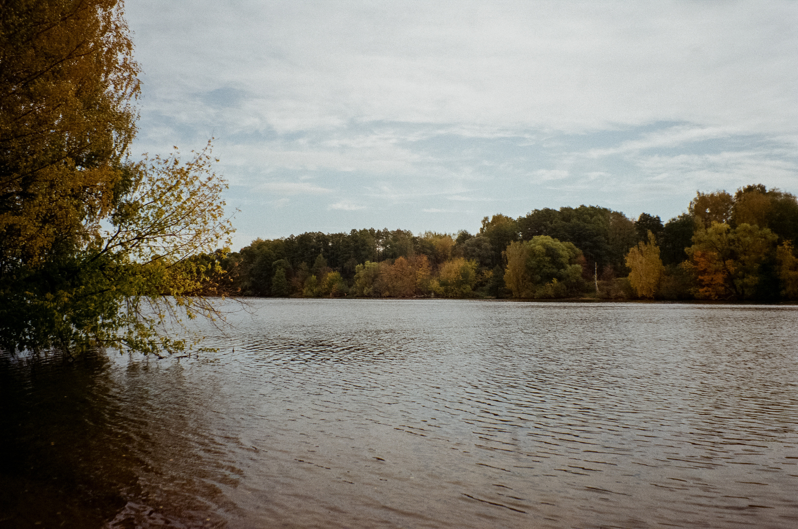 Осень на Kodak Gold 200