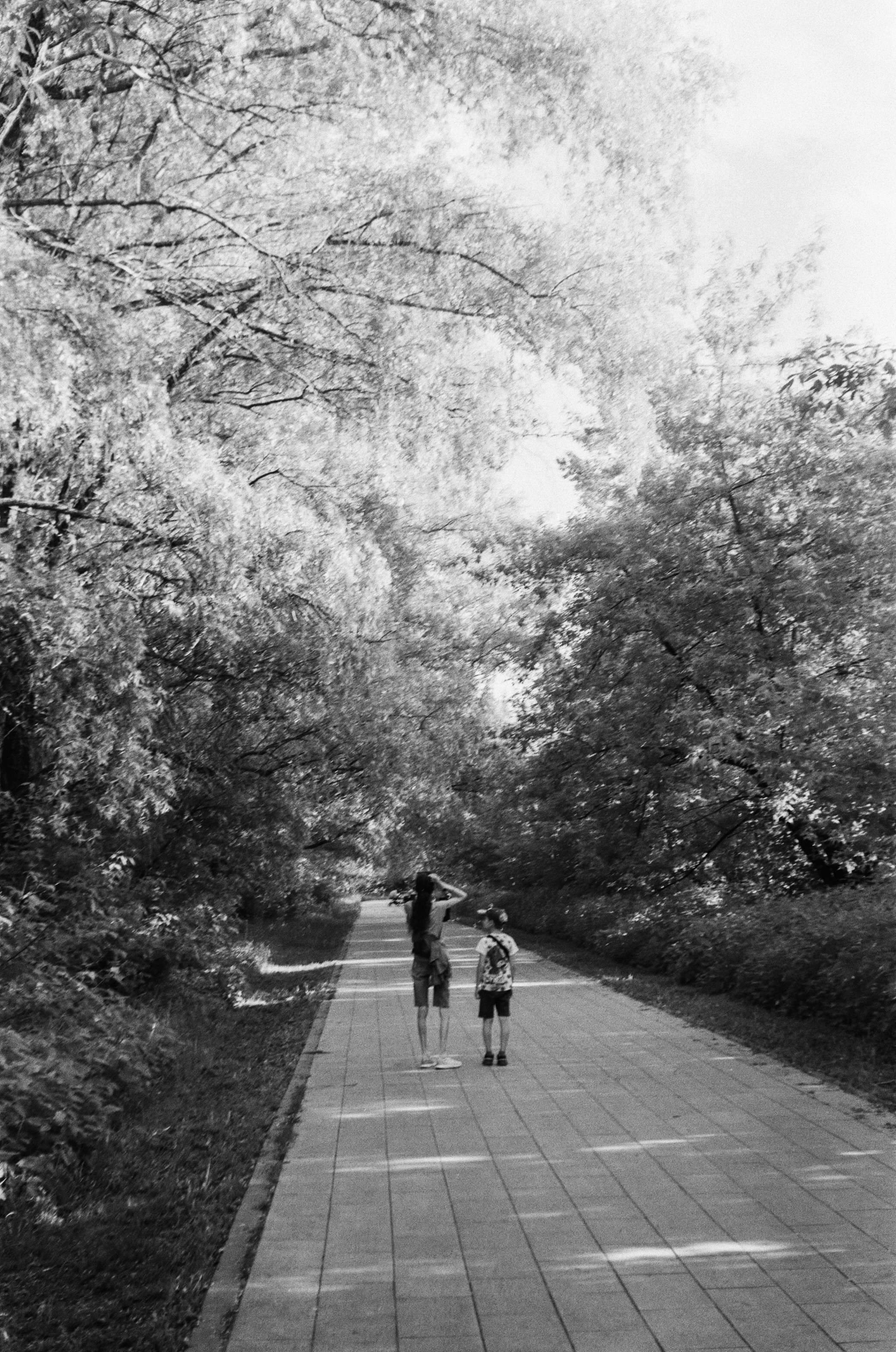 Schneider Xenon 50mm f2.0