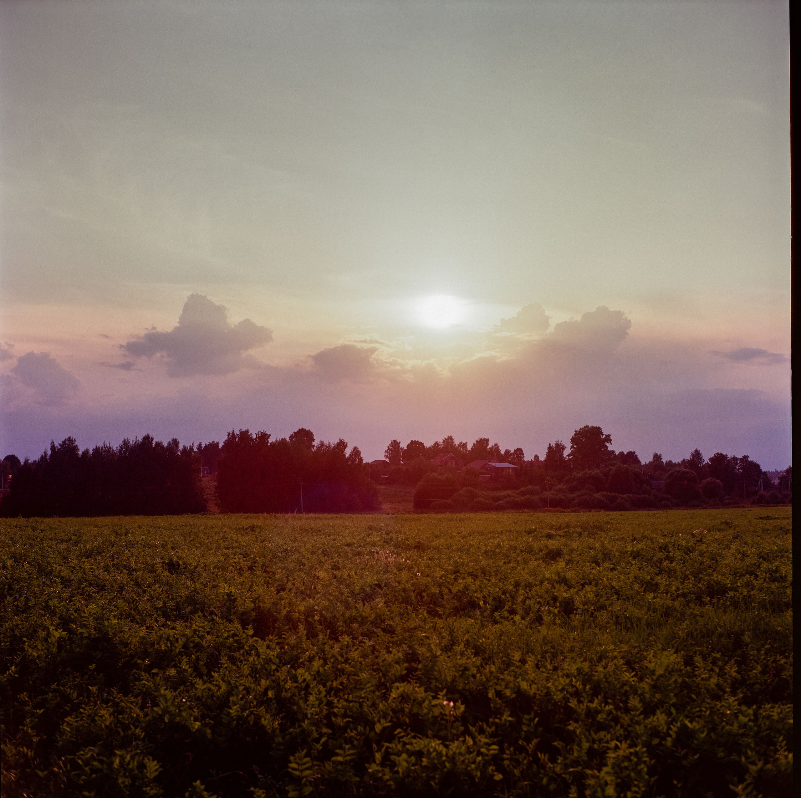 Yashica Mat-124 / Kodak Ektar 100