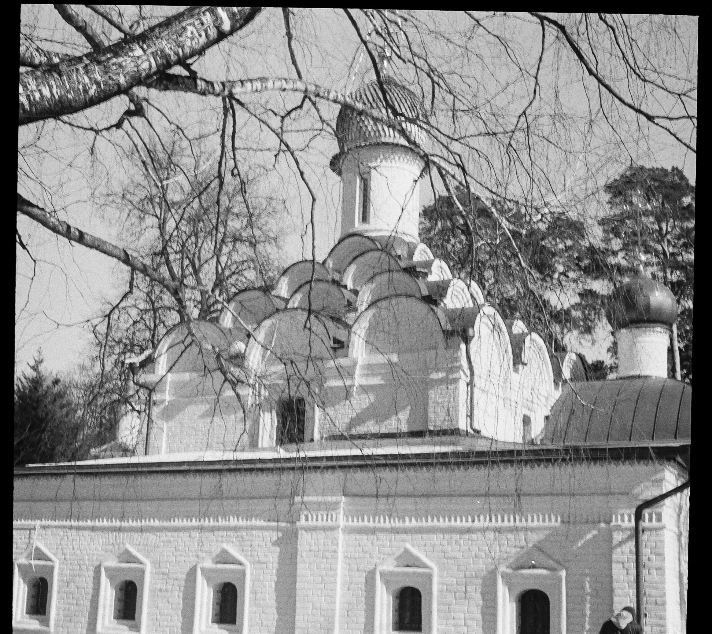 SFL UN 54 BW / Zeiss Ikon Tenax