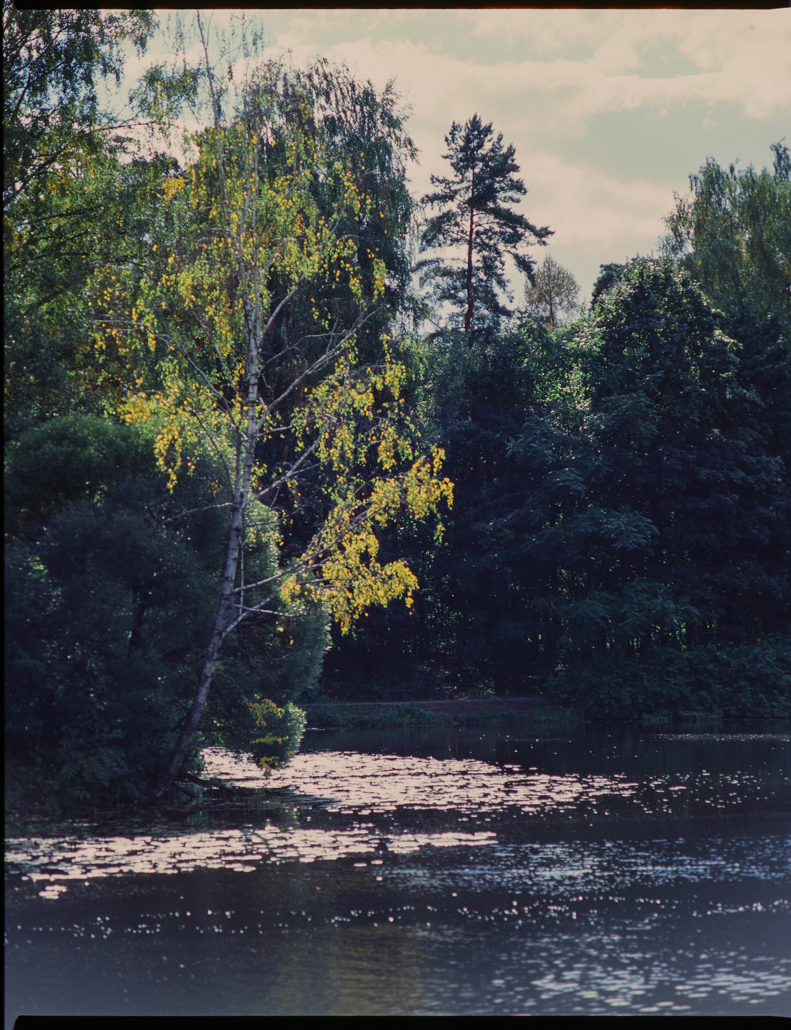 Zenza Bronica ETR — Zenzanon 150 f3.5 / Fujichrome Velvia 100