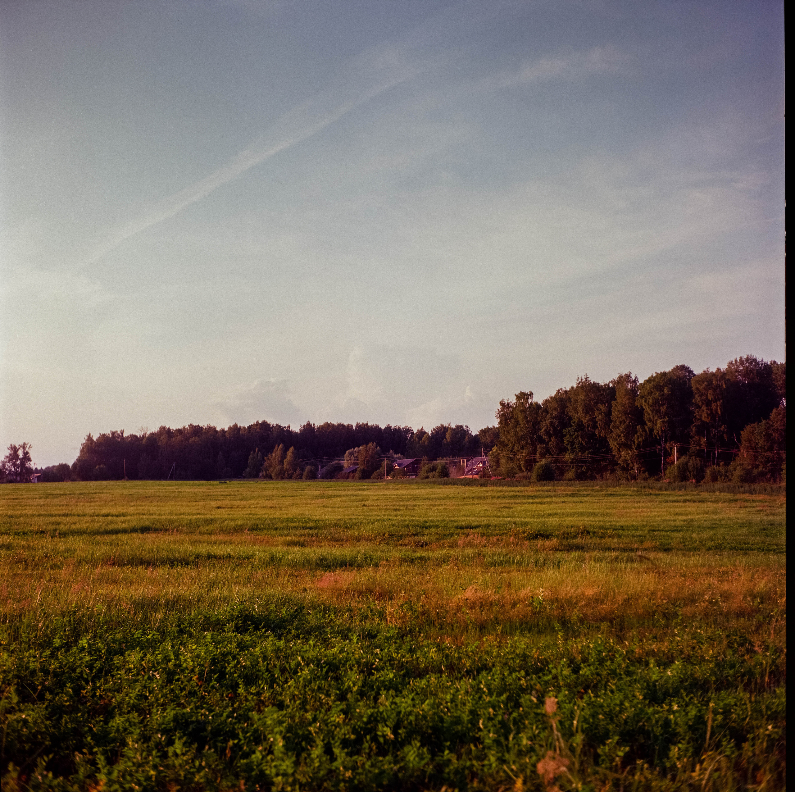 Yashica Mat-124 / Kodak Ektar 100