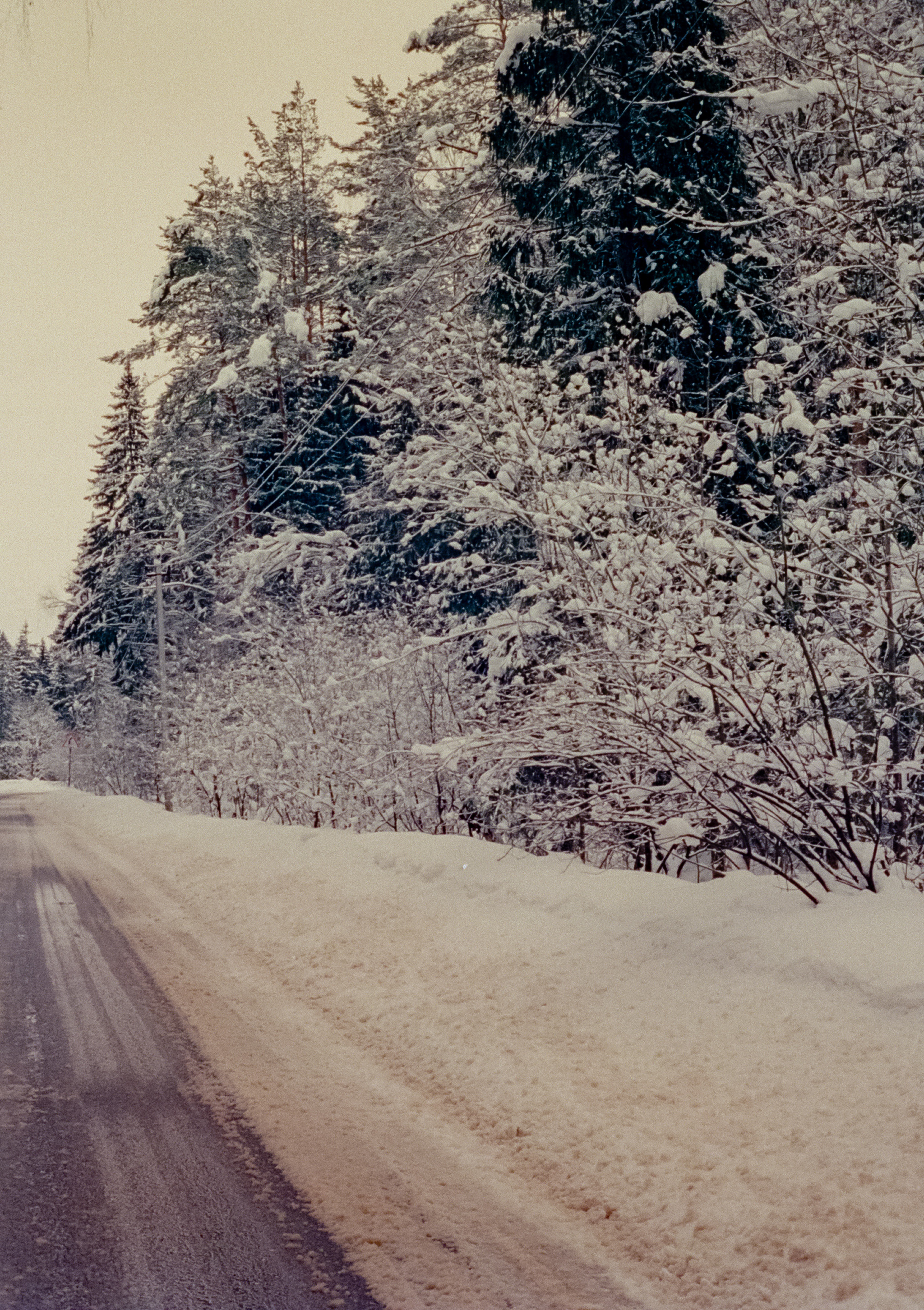 Olympus Pen EED / Kodak Vision 3 500T