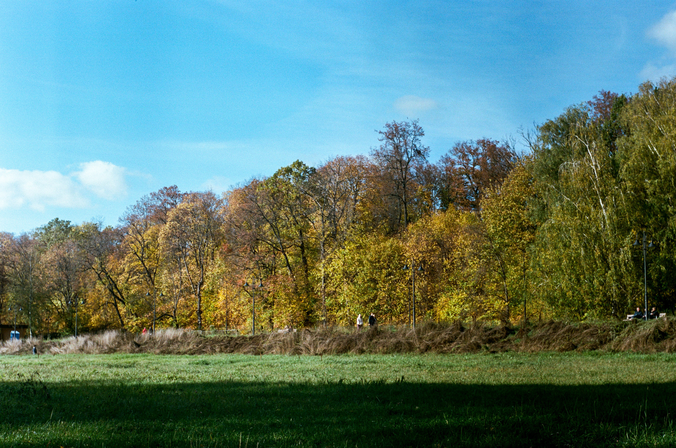 Enna Munchen Ennalyt 50mm f1.9 review