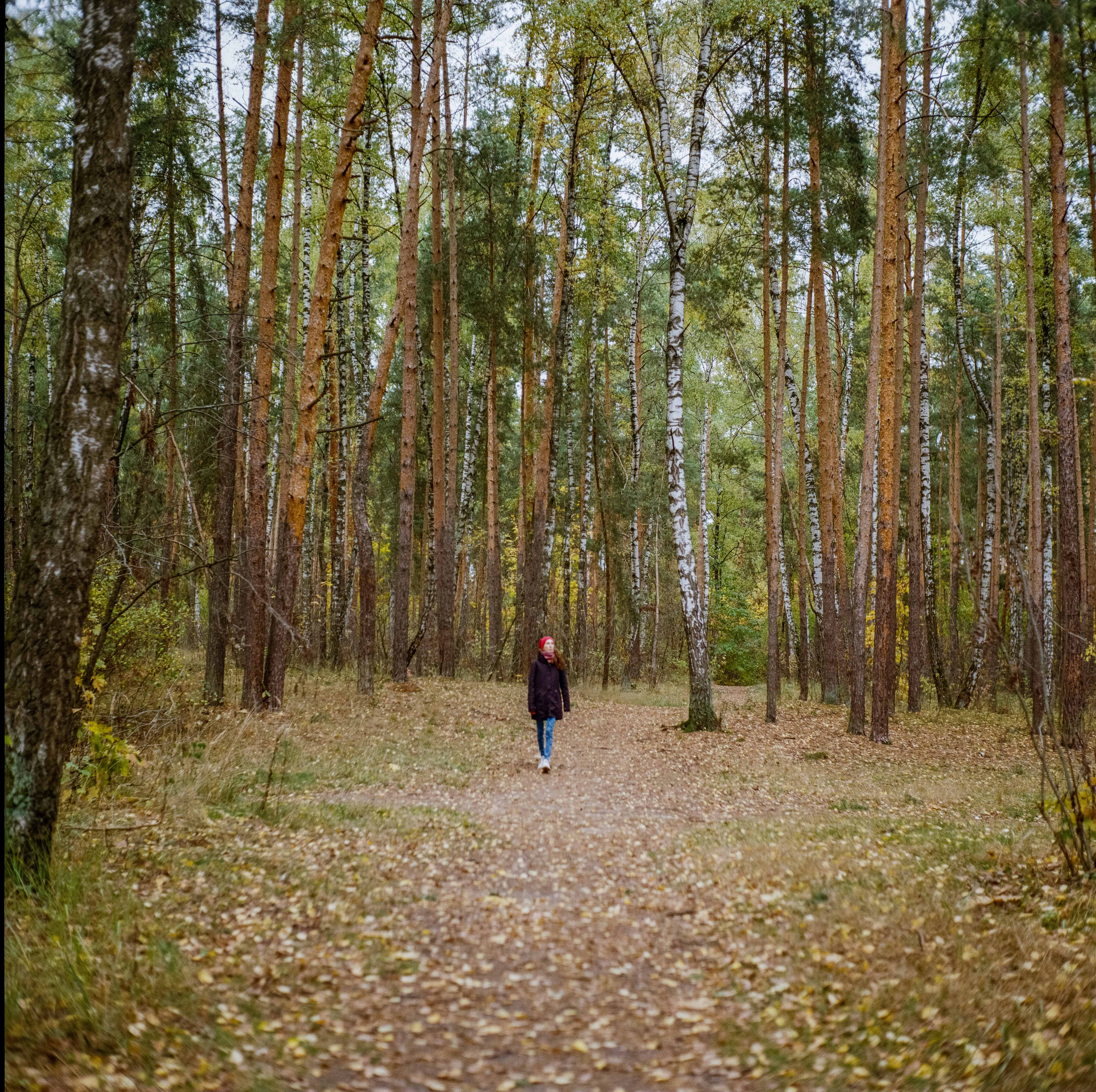 Yashica Mat-124G / Kodak Gold 200