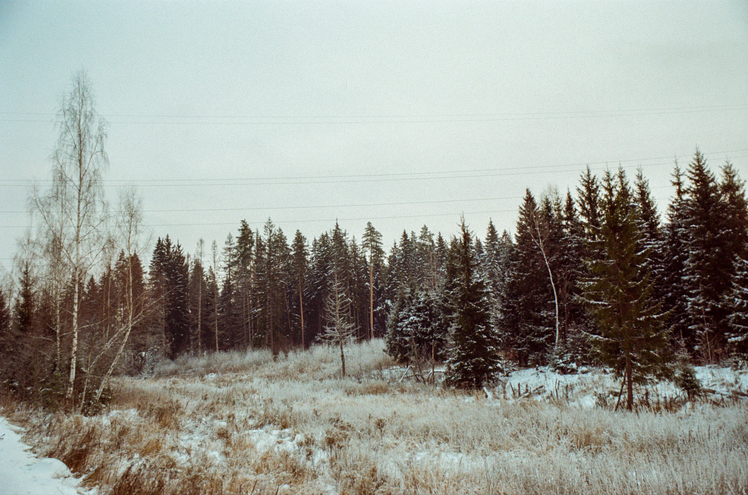 Contax N1 — Carl Zeiss Vario-Sonnar 24-85mm / Kodak Color 200