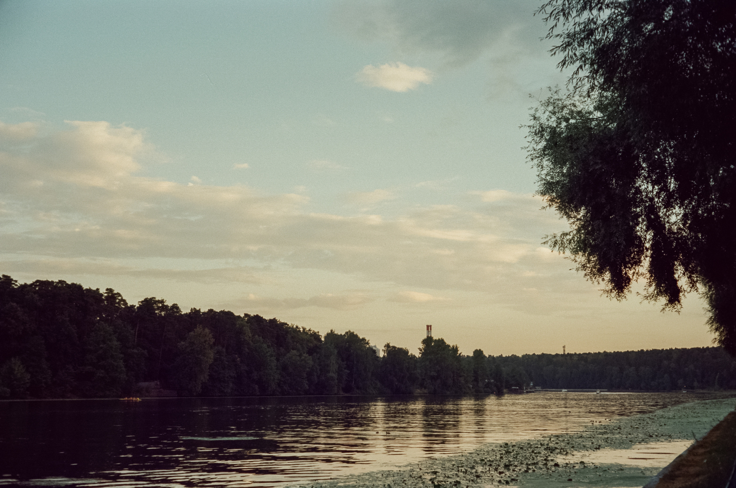 Canon Canonet QL17 G-III QL / Kodak Vision 3 250D