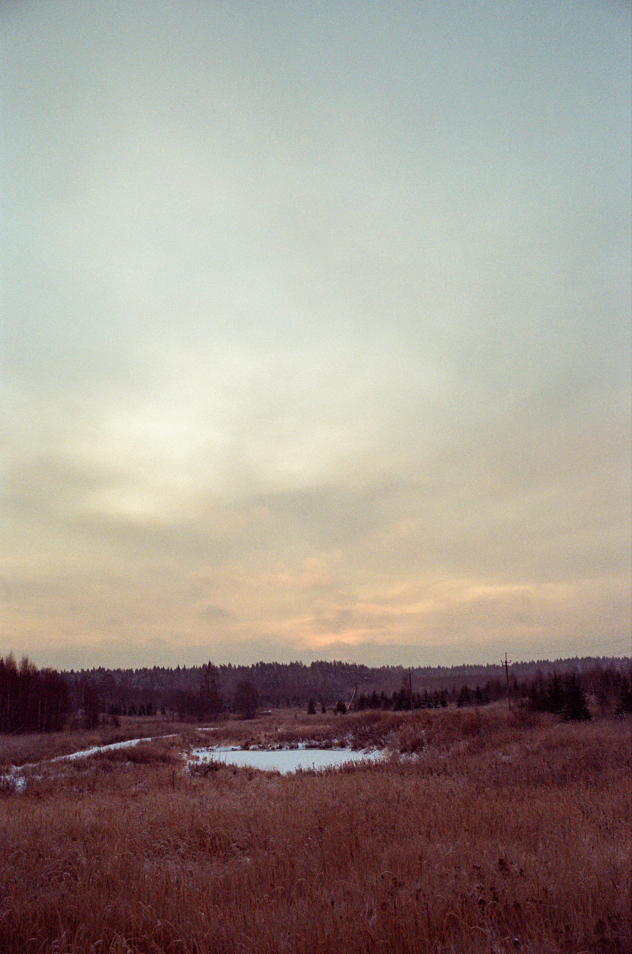 Contax N1 — Carl Zeiss Vario-Sonnar 24-85mm / Kodak Color 200