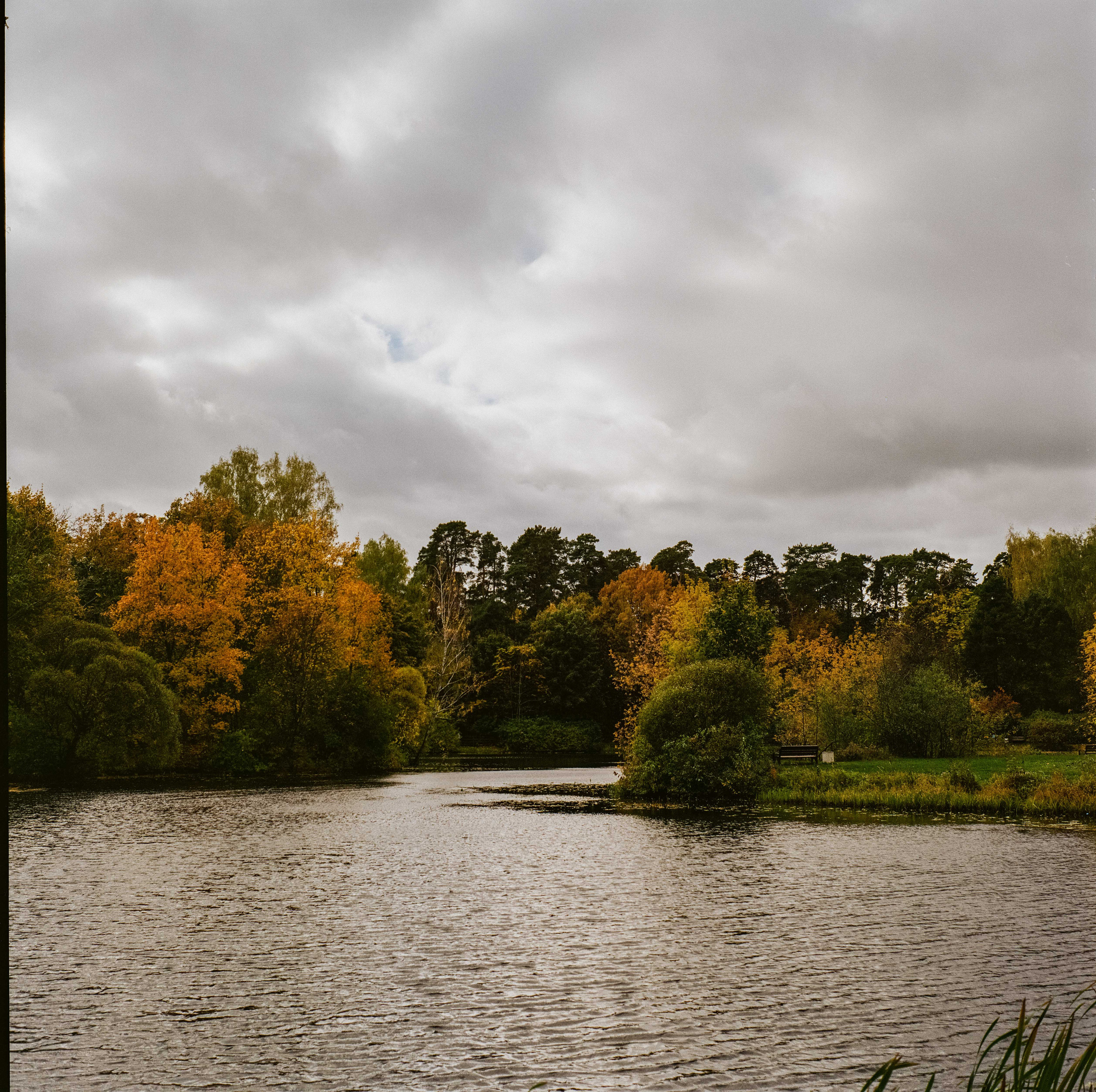 Yashica Mat-124G / Kodak Gold 200