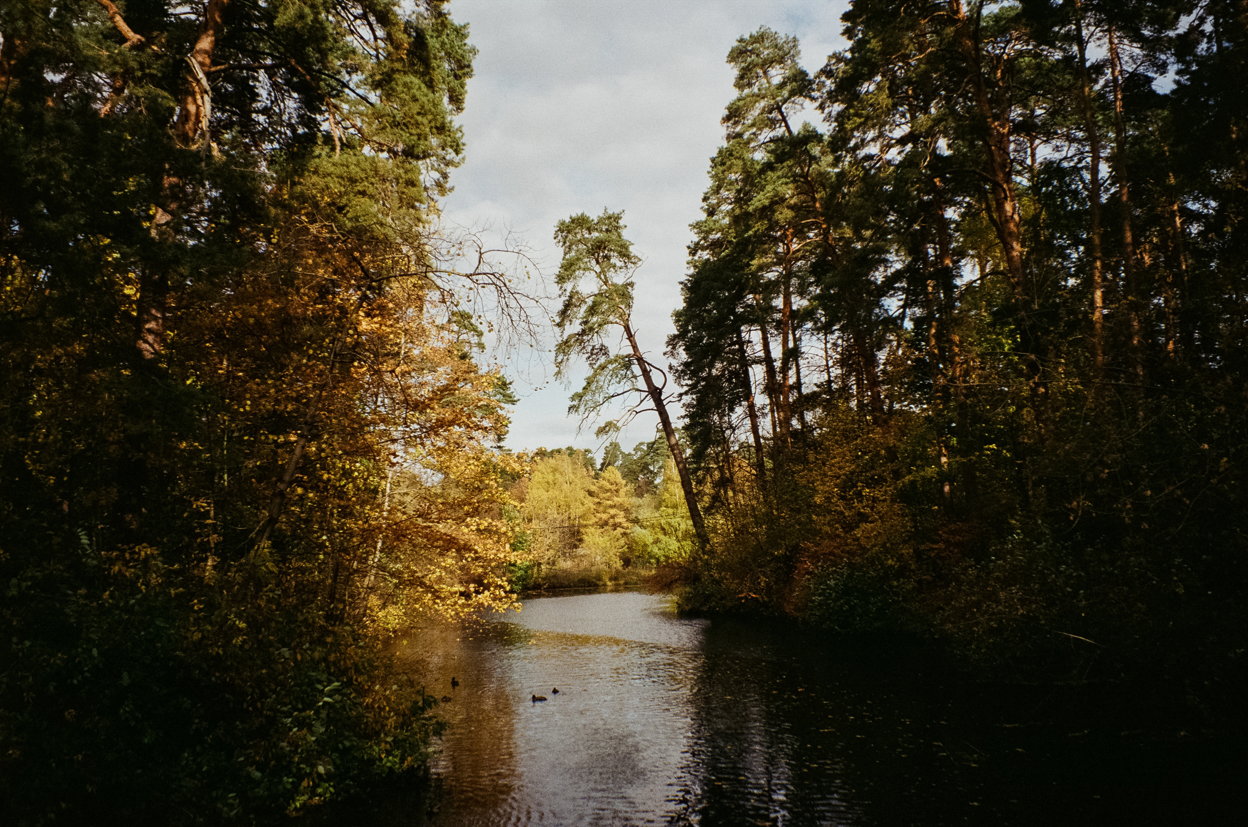 Осень на Kodak Gold 200