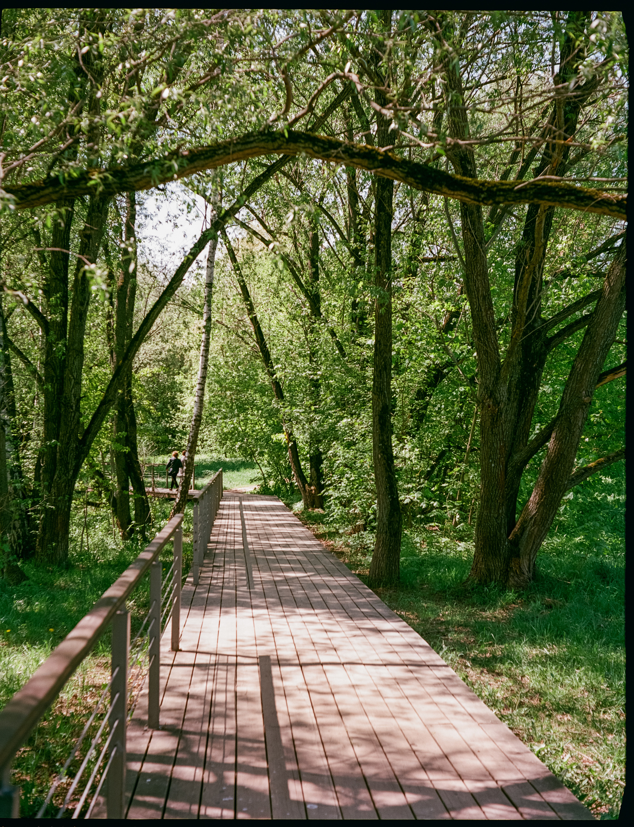 Kodak Aerocolor IV / Voightlander Bessa 46