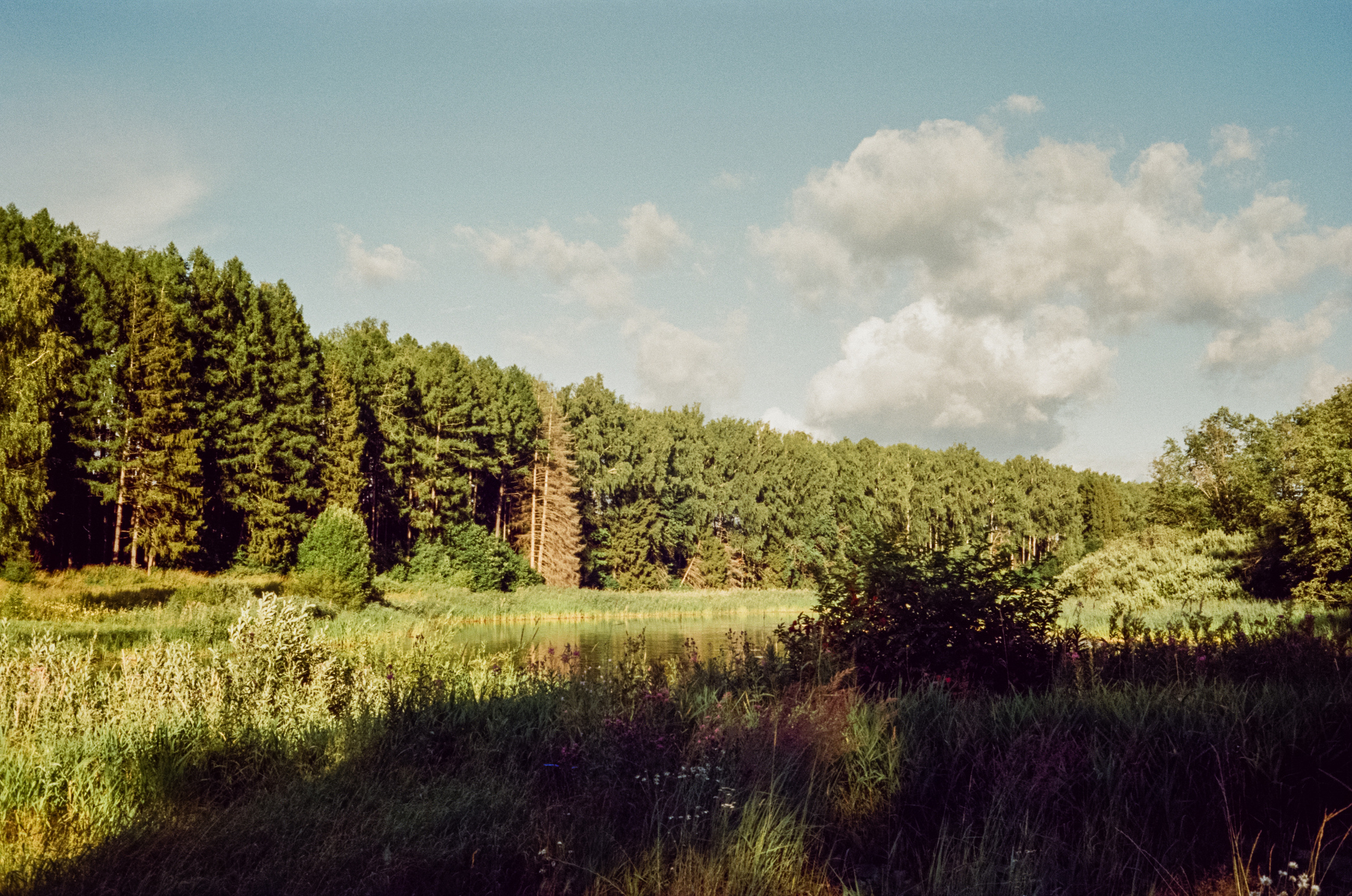 Canon Canonet QL17 G-III QL