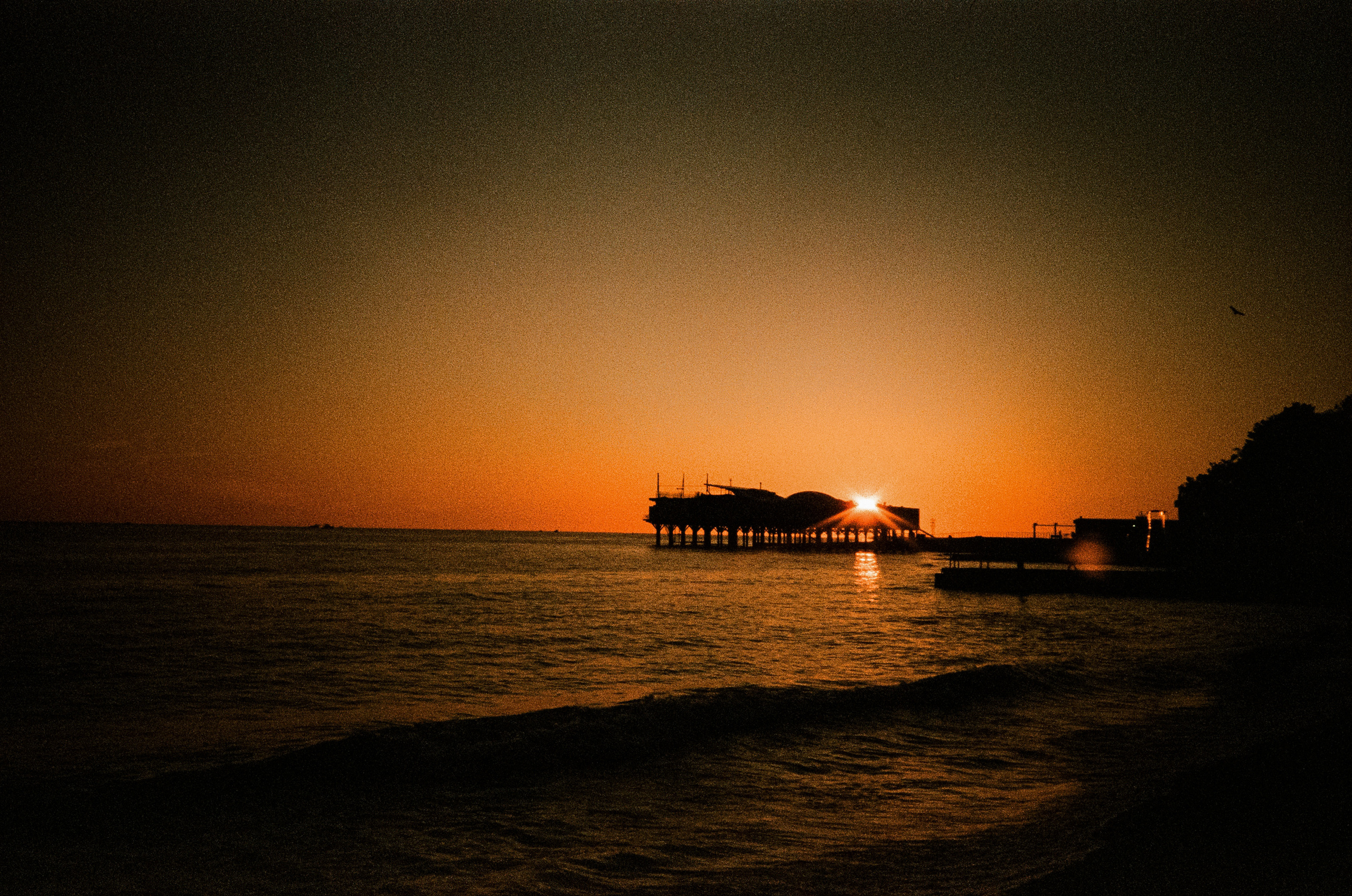 Skypark в Сочи на Fuji DL-300, пленка Konica Centuria 1600
