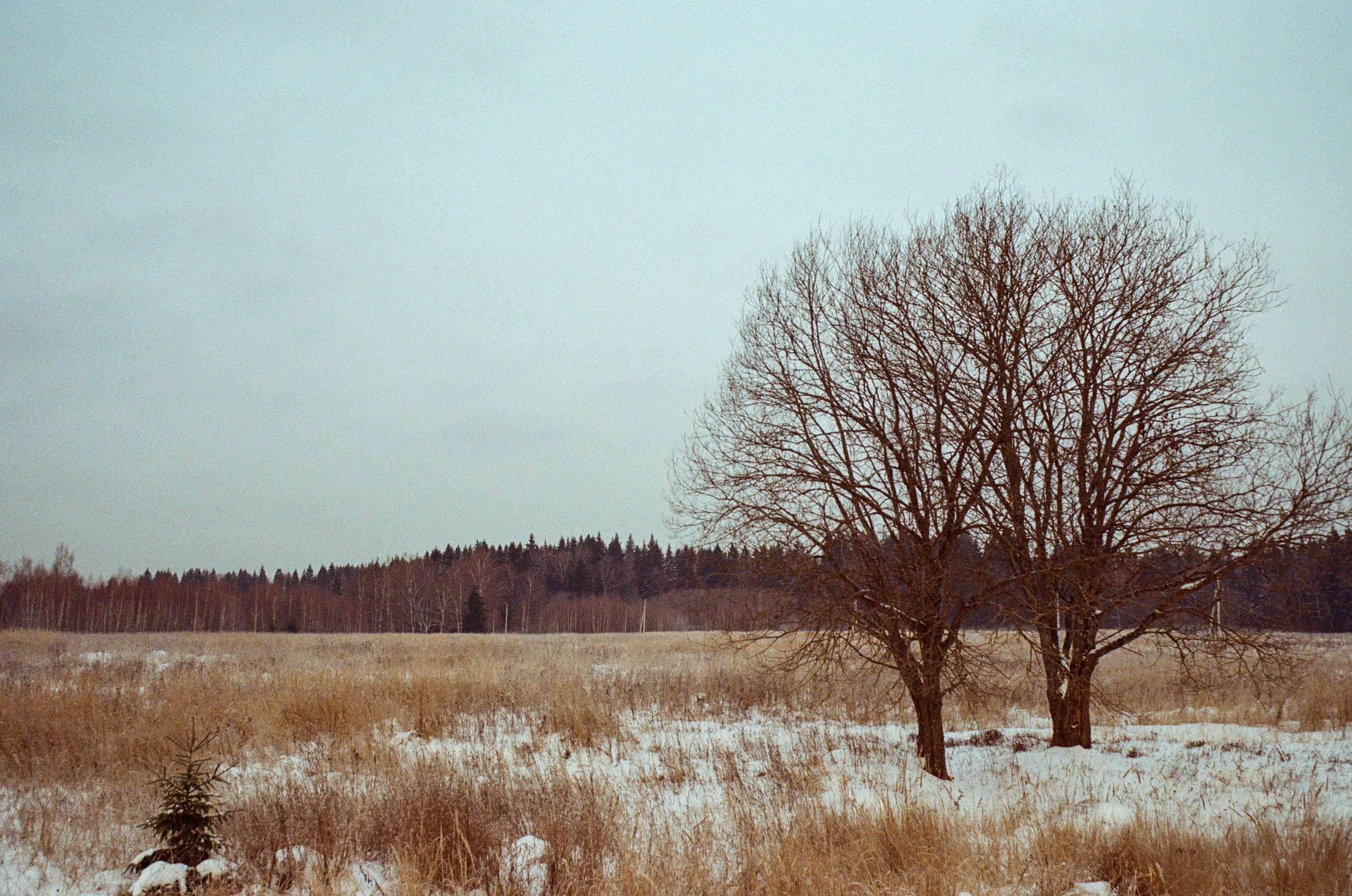 Contax N1 — Carl Zeiss Vario-Sonnar 24-85mm / Kodak Color 200