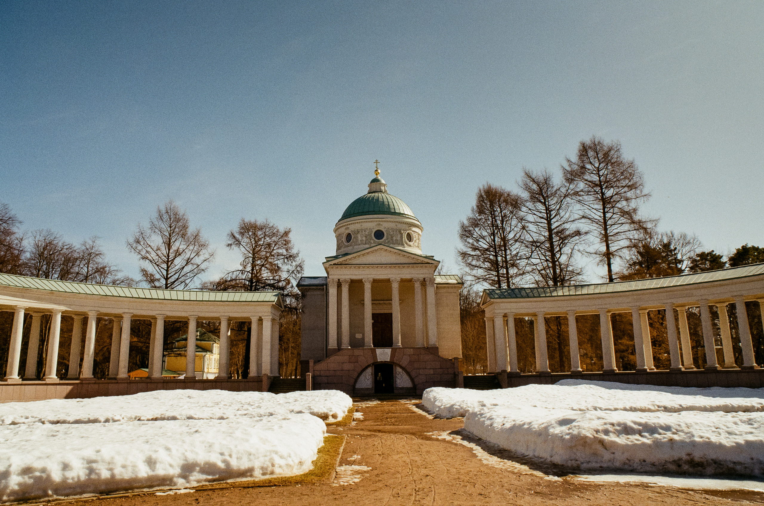 Kodak Ektar 100 / Contax N1