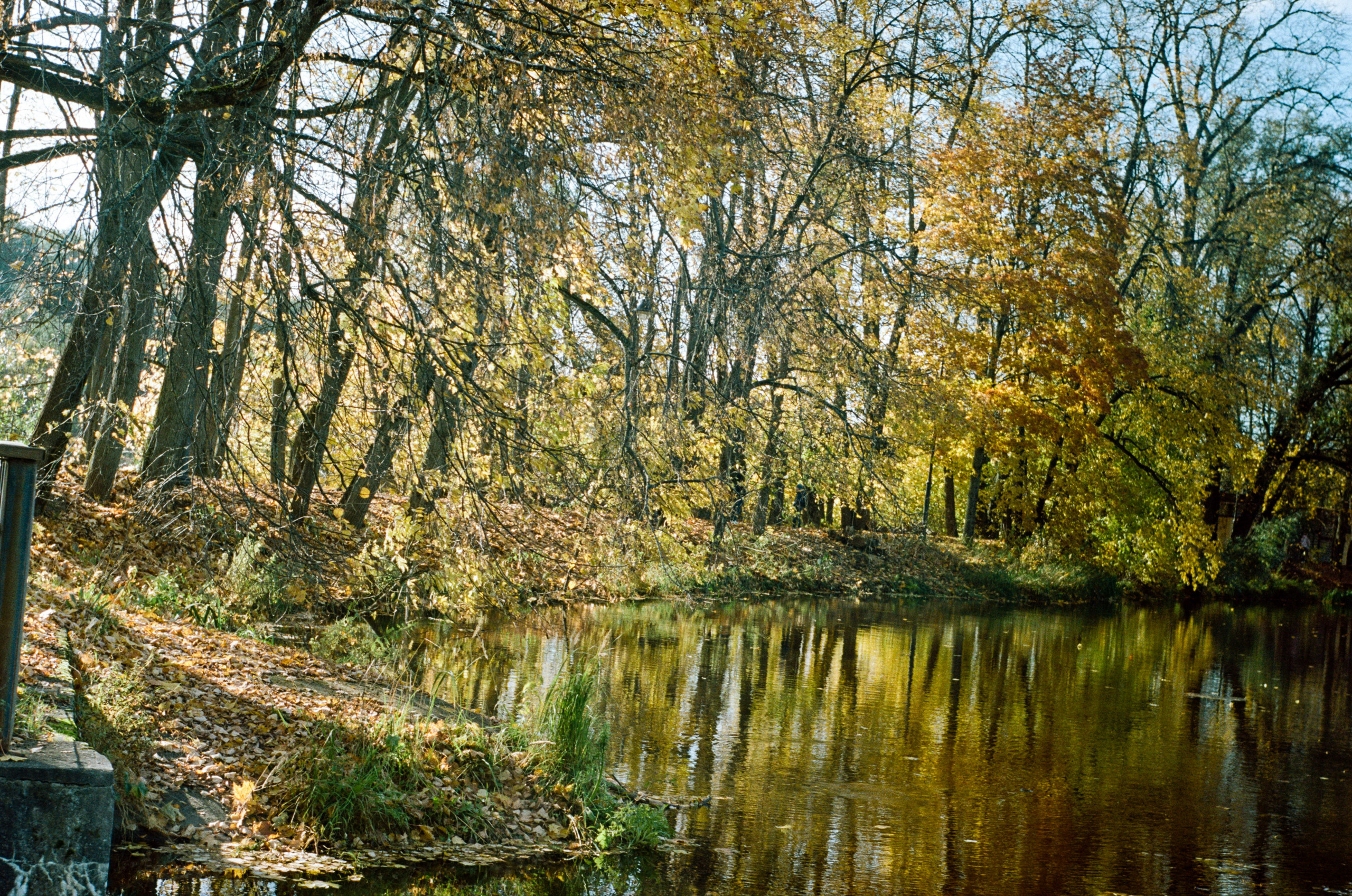 Enna Munchen Ennalyt 50mm f1.9 примеры фотографий