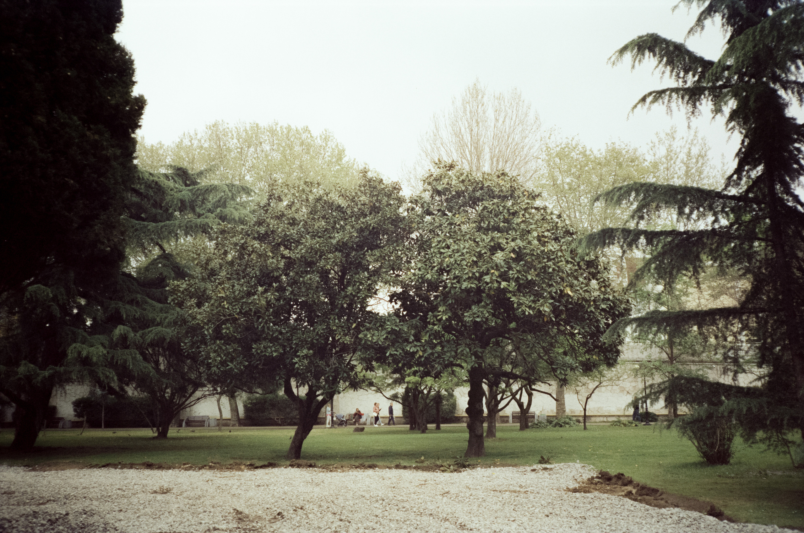 Комсомольский парк, Морской Порт Сочи — Revue 35 СС