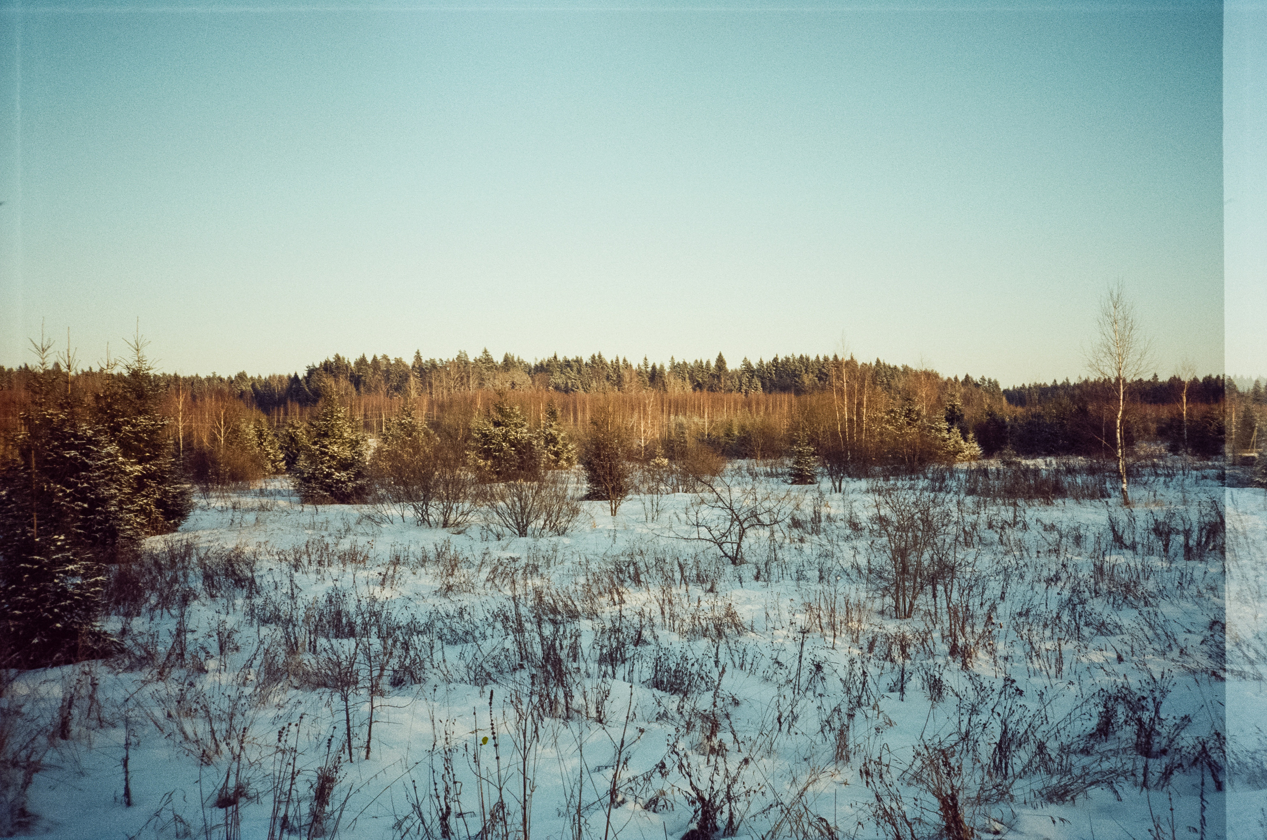 Kodak Vision 3 250D / Revue 35CC