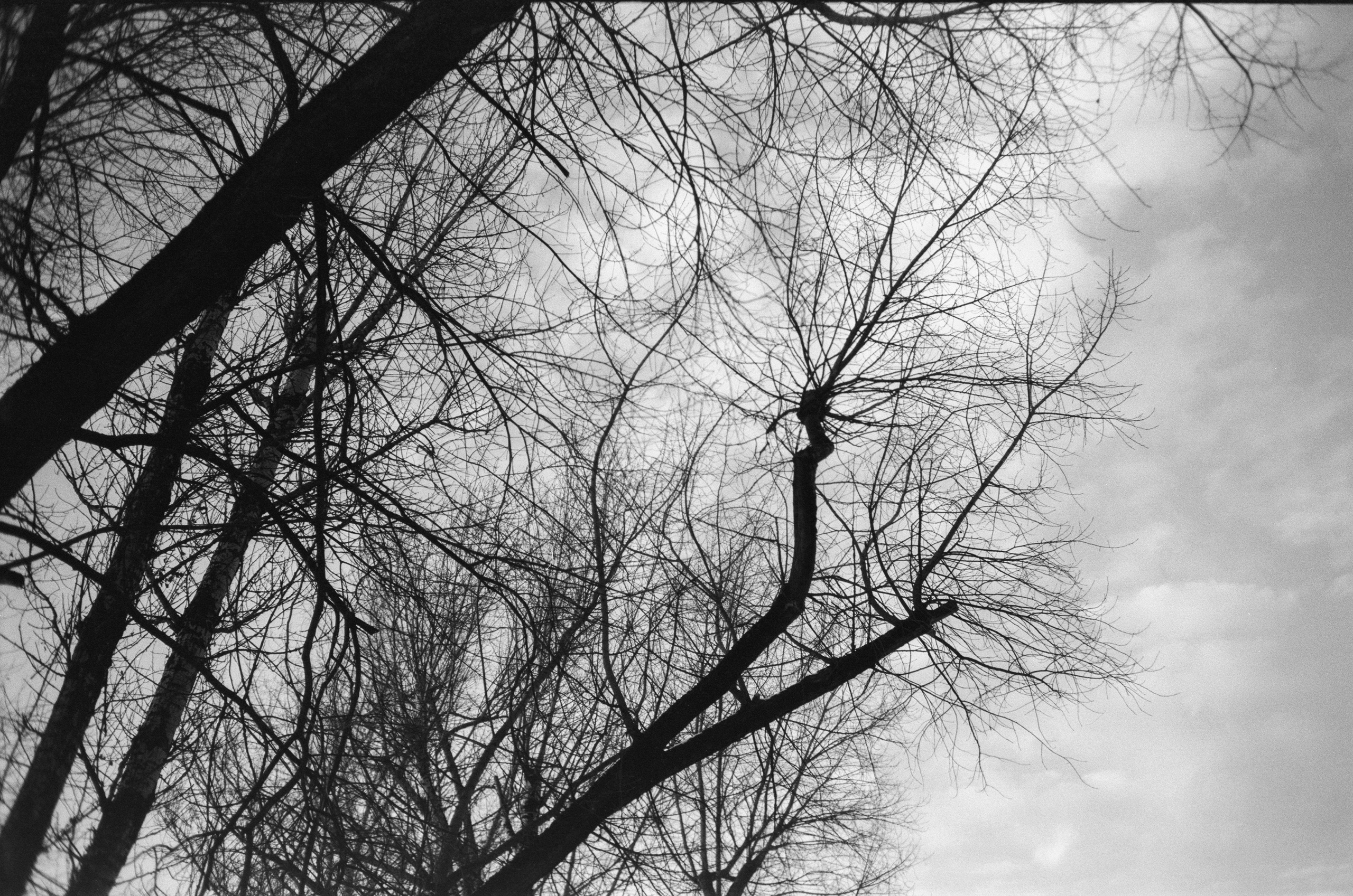 Тасма Т-25 ISO 100 / Revue 35