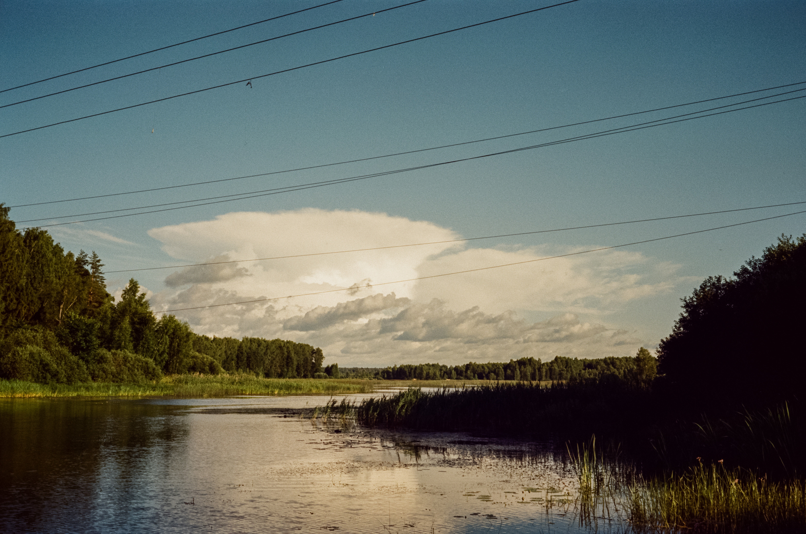 Canon Canonet QL17 G-III QL