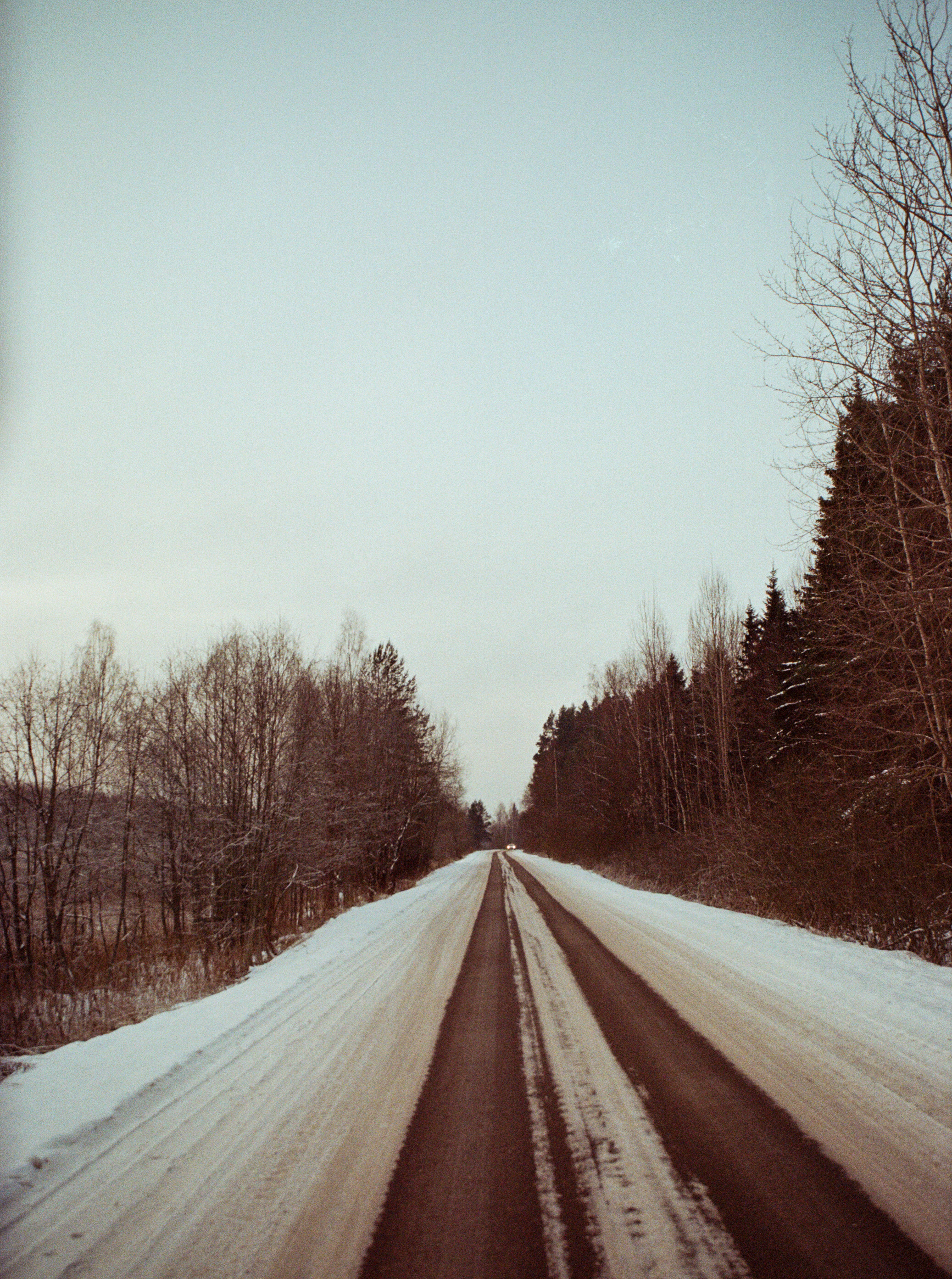 Contax N1 — Carl Zeiss Vario-Sonnar 24-85mm / Kodak Color 200