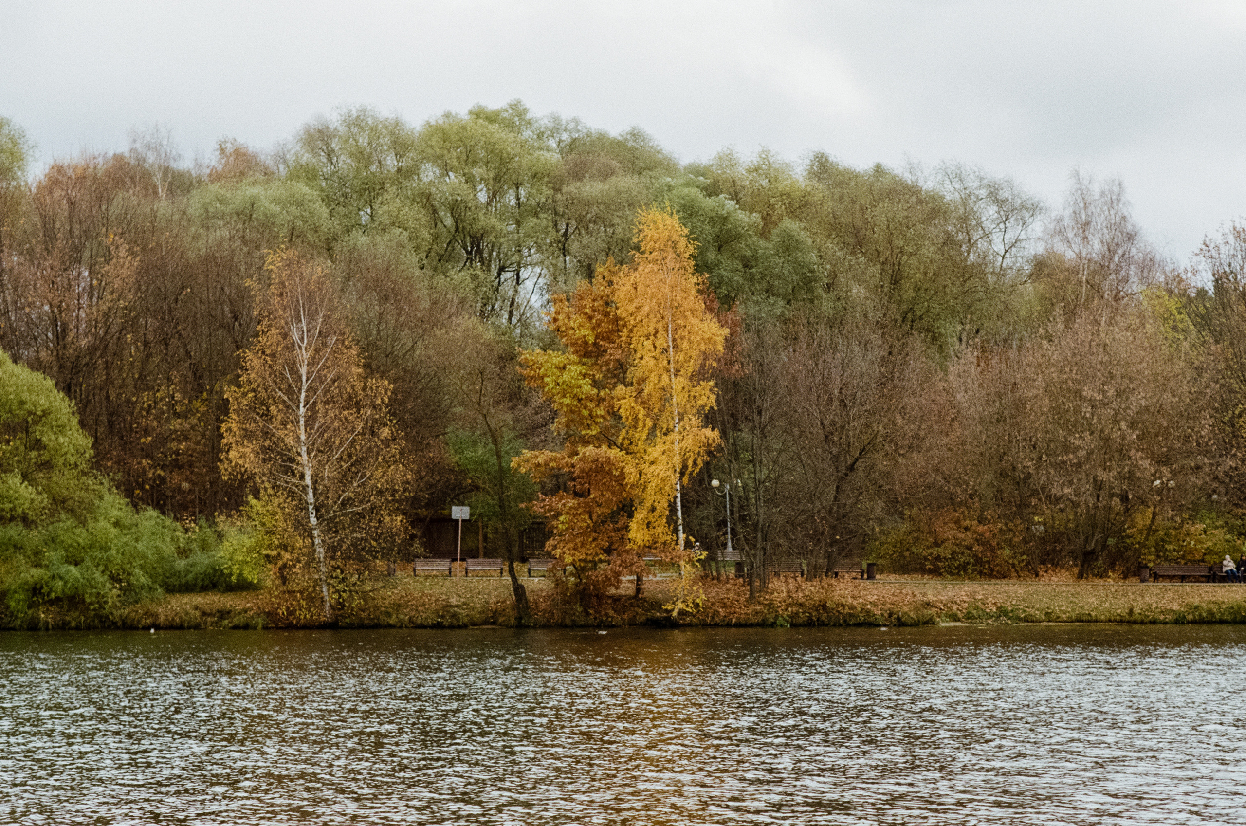 Московская осень на Kodak Gold 200