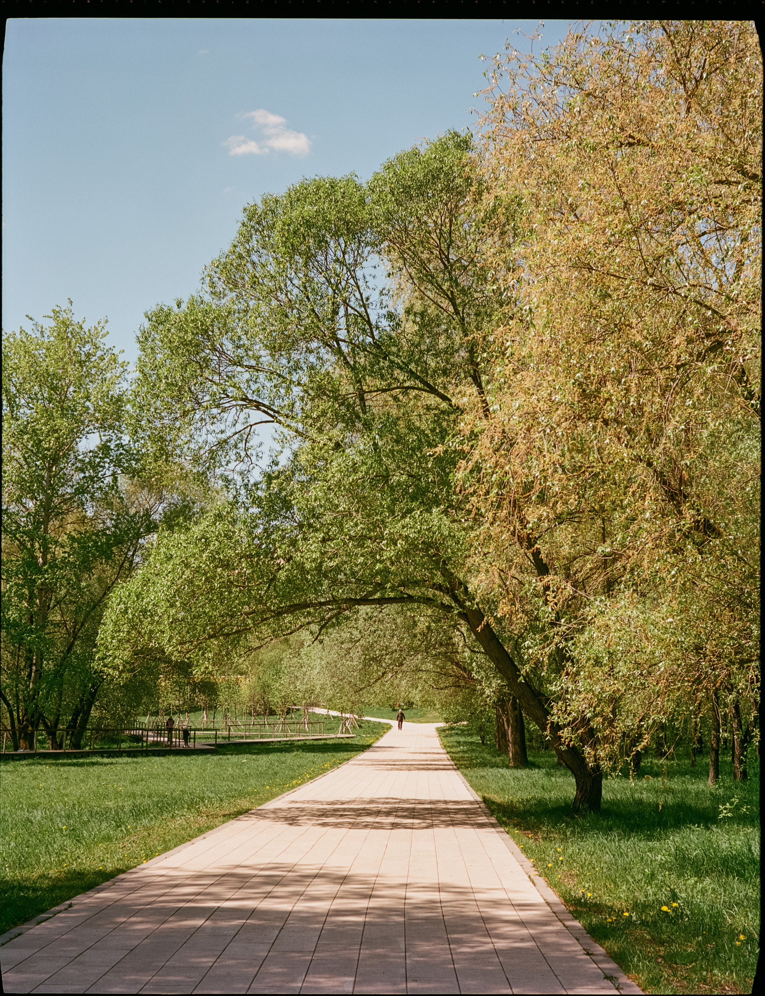 Kodak Aerocolor IV / Voightlander Bessa 46