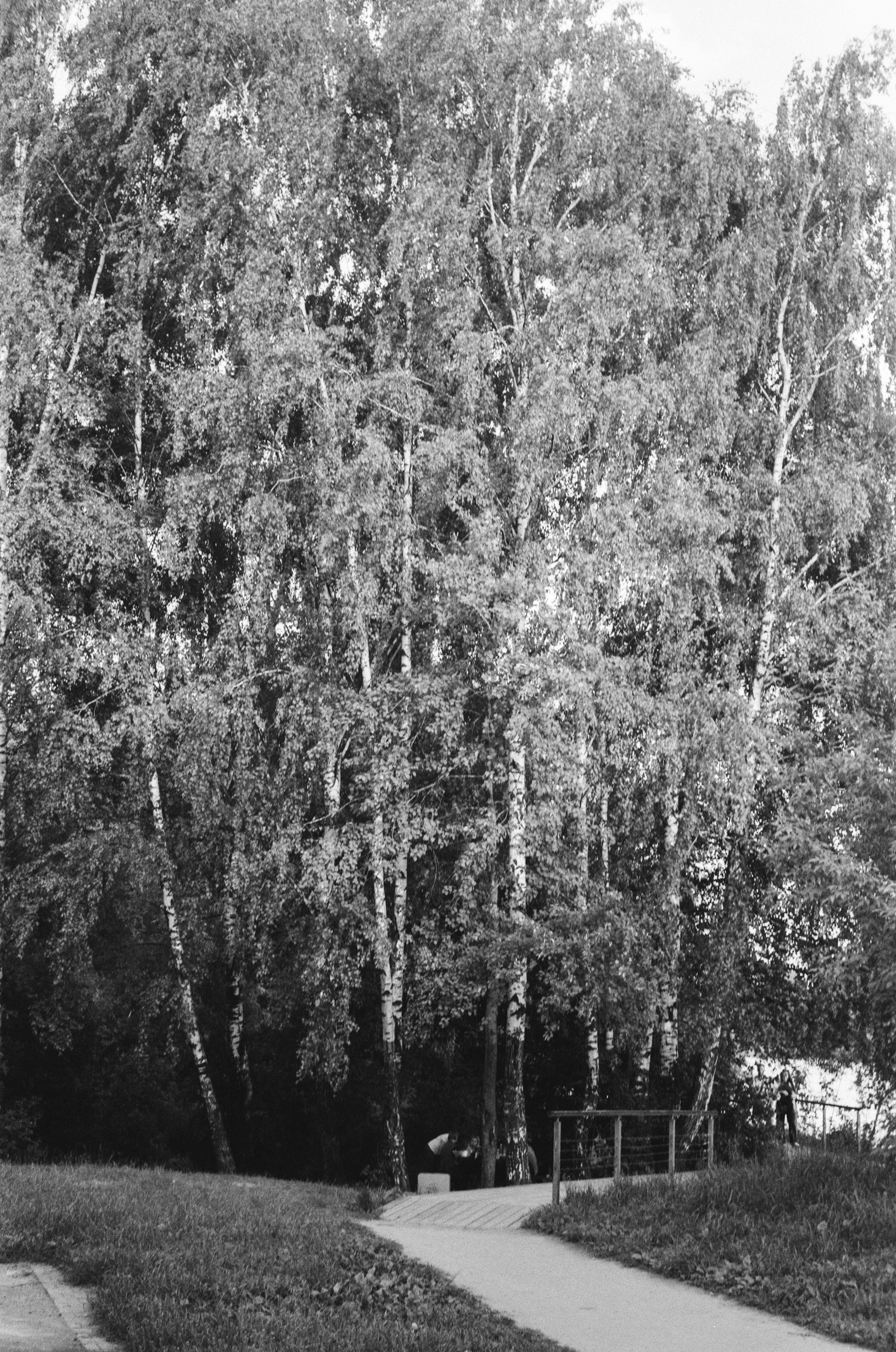 Welta Weltini примеры фотографий