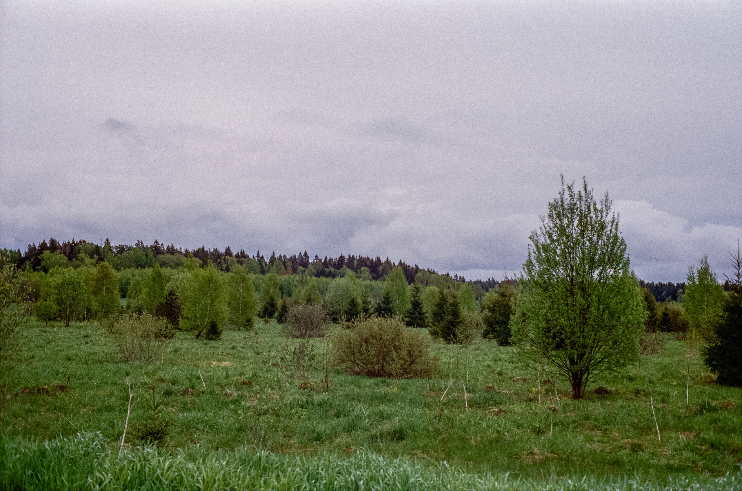 Minolta Hi-Matic 7sII