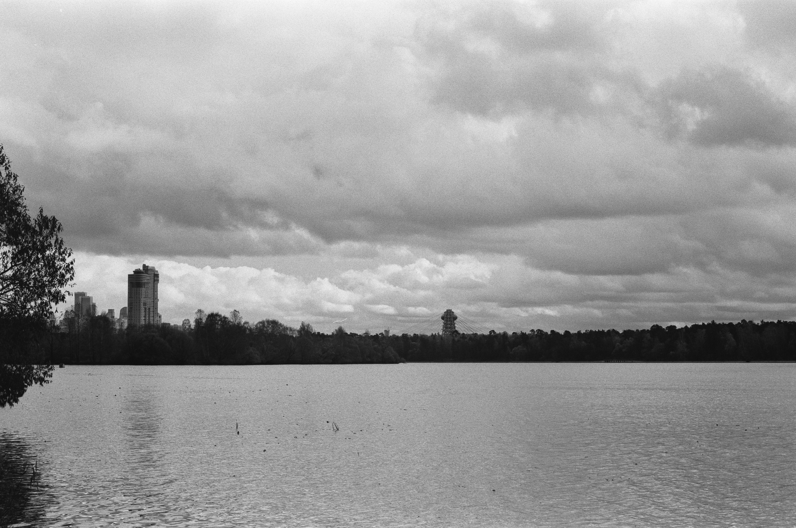 Cosina 55 mm f1.2 — Ricoh XR-10M / Тасма Тип-42 ISO 100