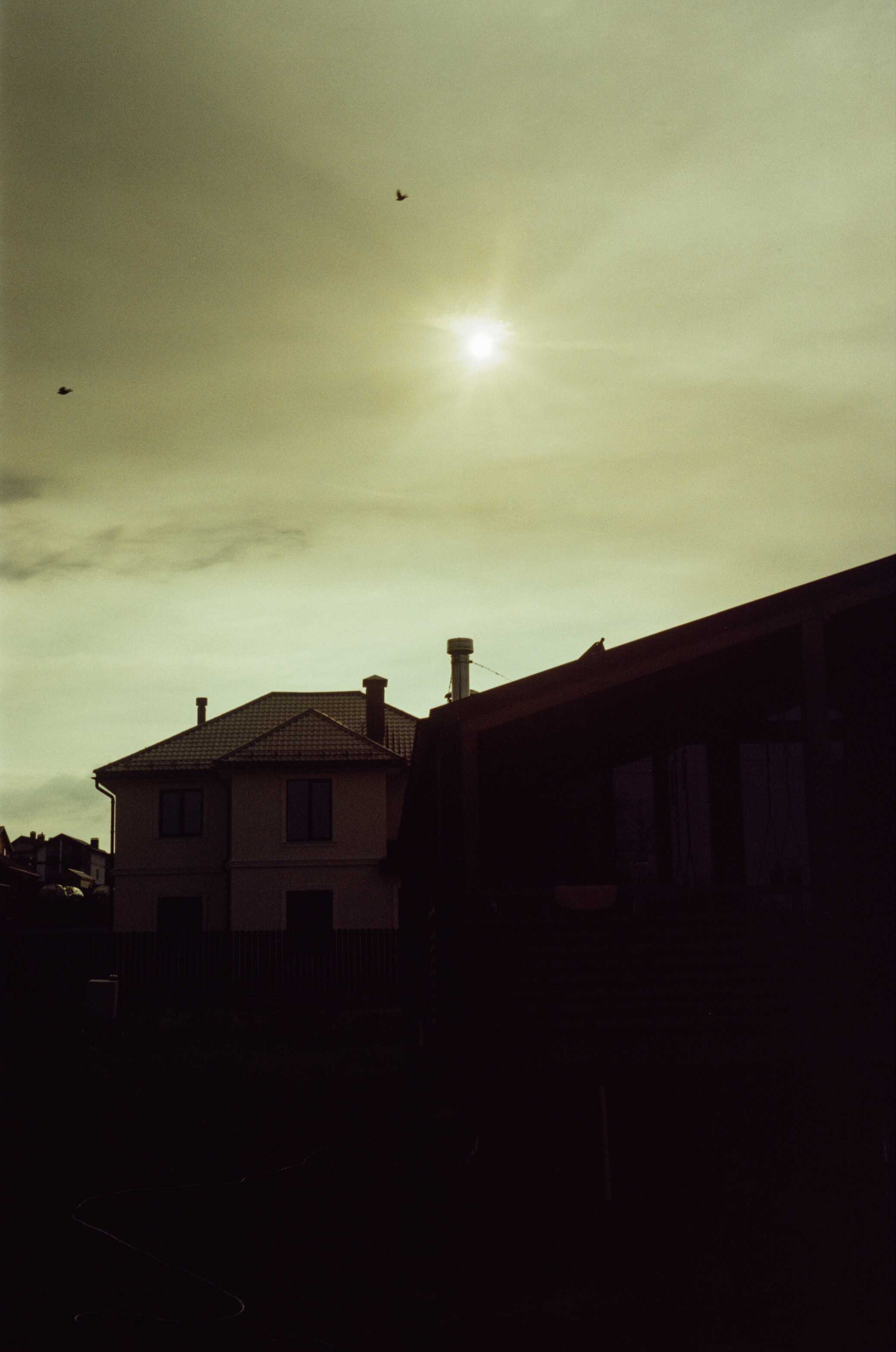 Canon Canonet QL17 G-III QL