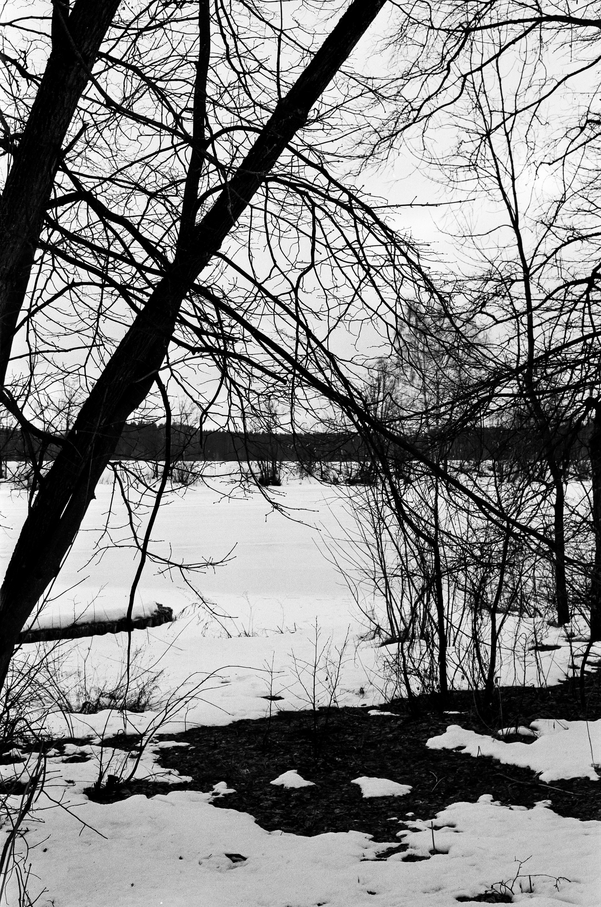 Retina Xenon C 50mm f2.0