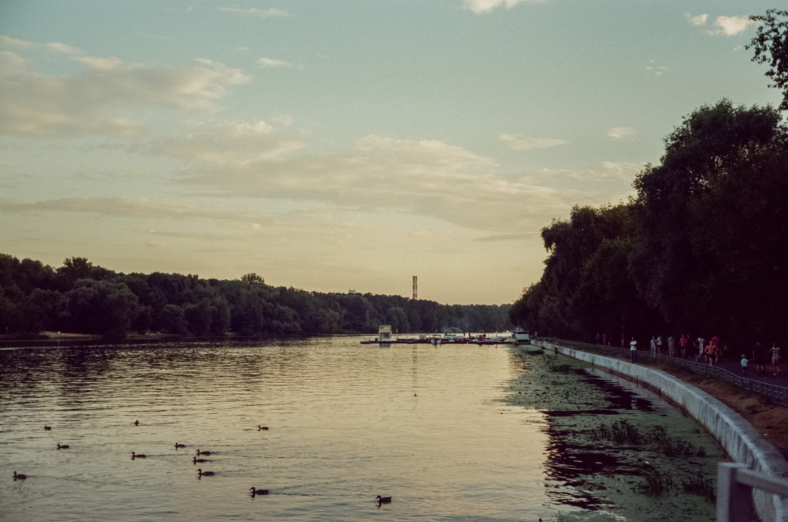 Canon Canonet QL17 G-III QL / Kodak Vision 3 250D